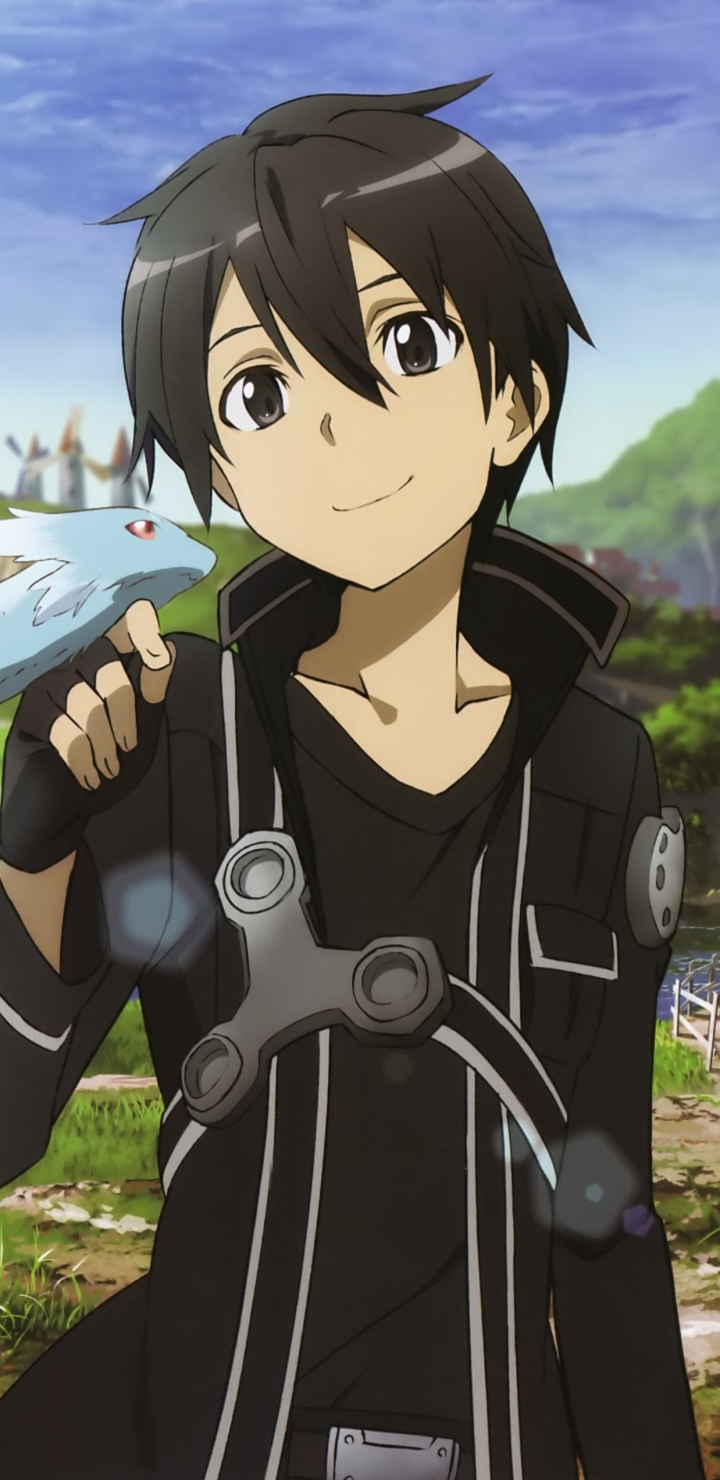 Sword art online steam фото 64