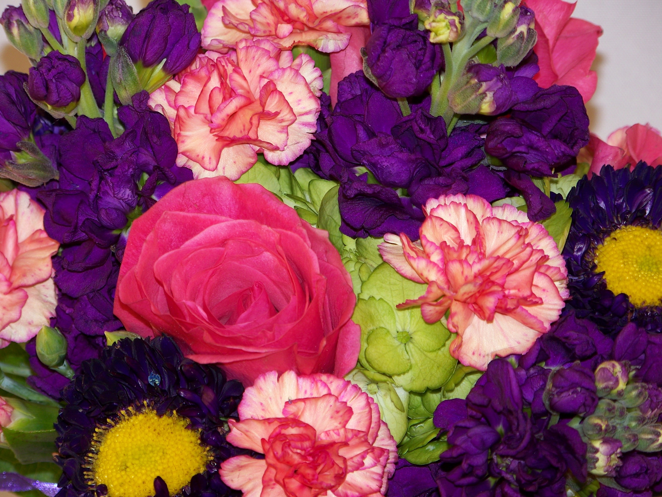 flowers, carnations, bouquet Aesthetic wallpaper