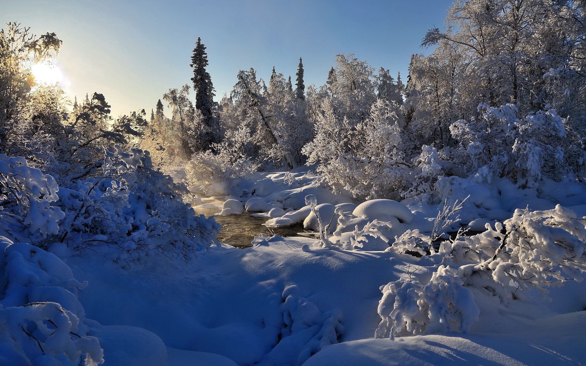 Laden Sie das Bäume, Dampf, Natur, Schnee, Winter, Flüsse-Bild kostenlos auf Ihren PC-Desktop herunter