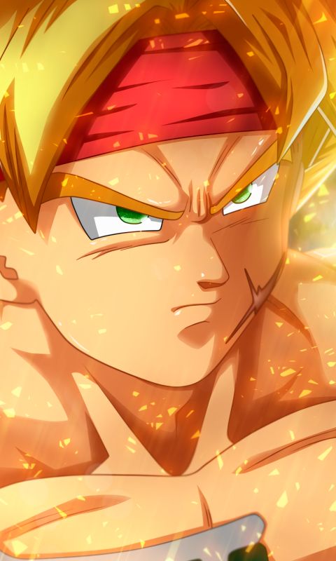Download mobile wallpaper Anime, Dragon Ball, Dragon Ball Super, Bardock (Dragon Ball) for free.