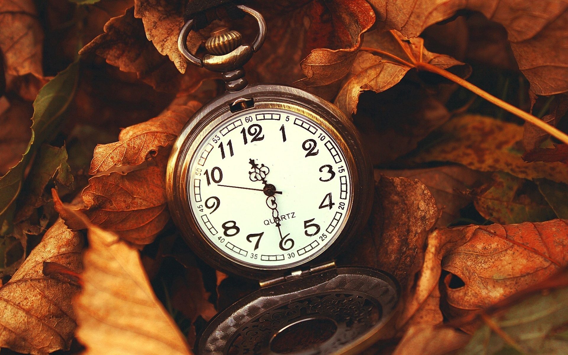 time, clock, miscellaneous, miscellanea, nature, leaves, macro, it's time