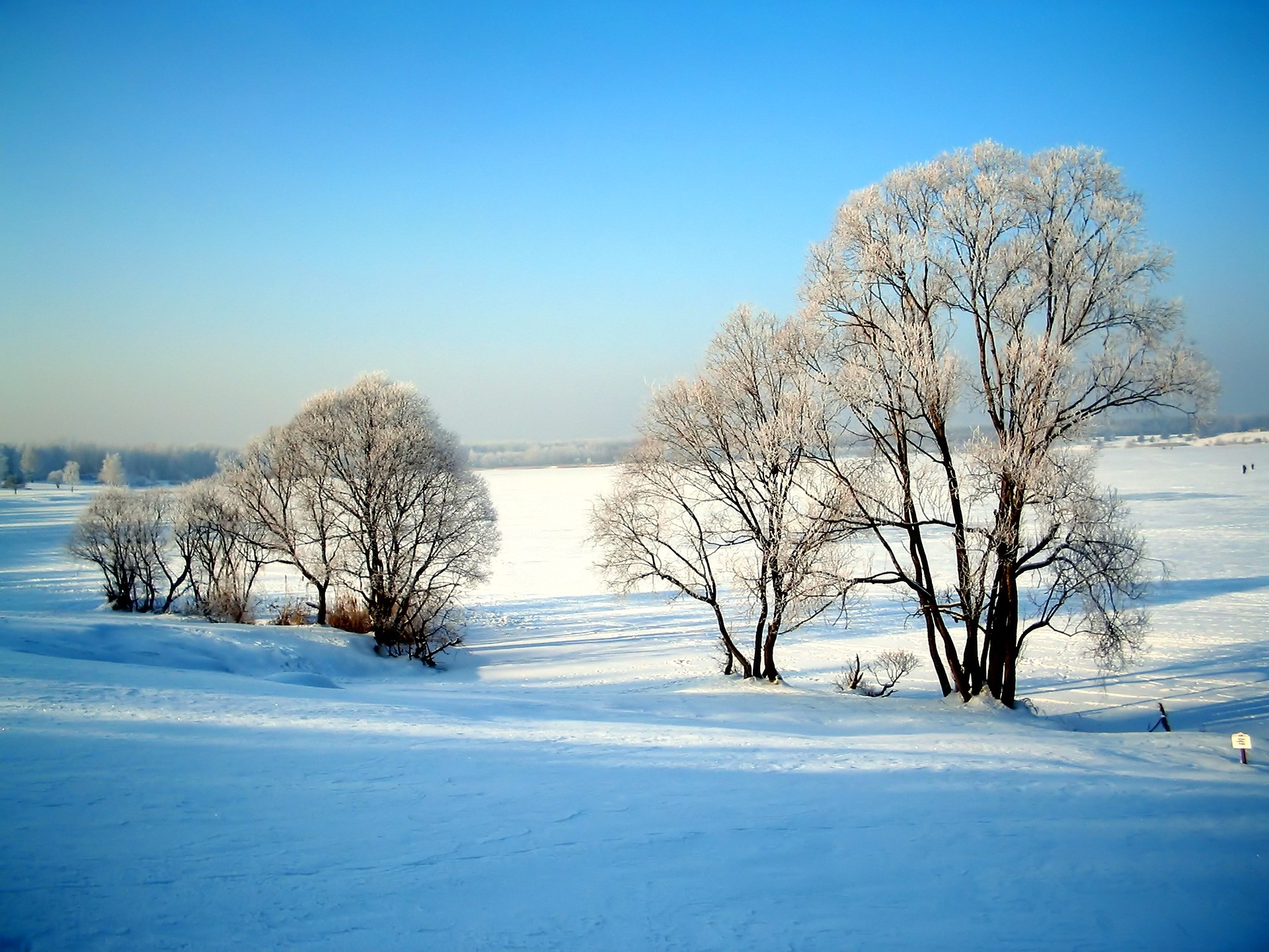 Красивая природа февраль. Зимний пейзаж. Зимняя природа. Февраль природа. Пейзажи природы зима.