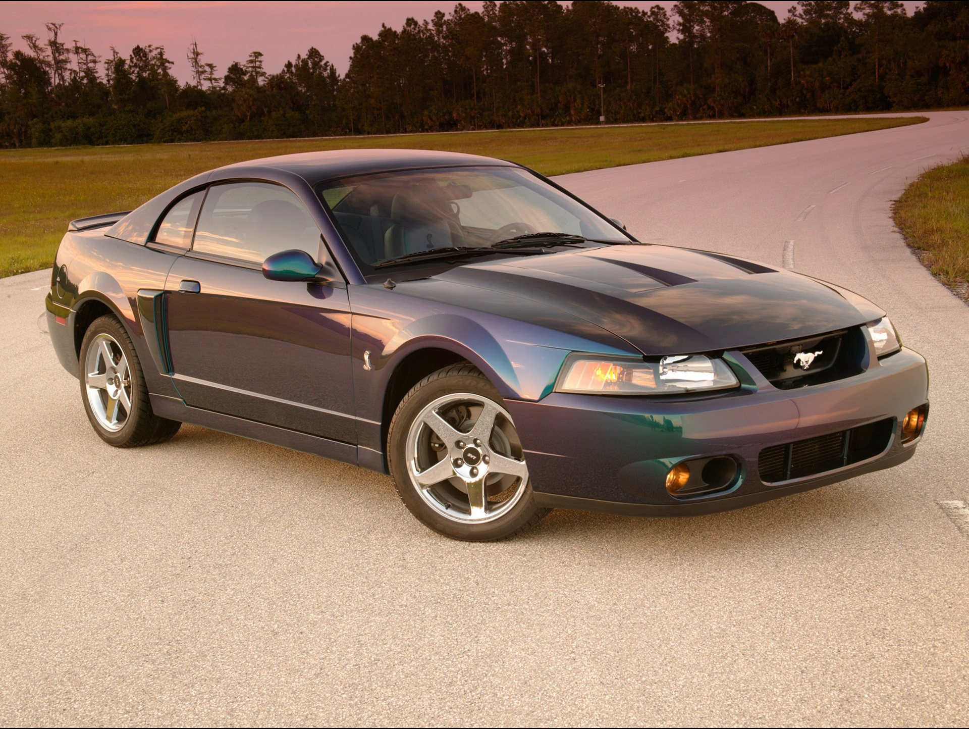 Ford Mustang SVT Cobra 2004