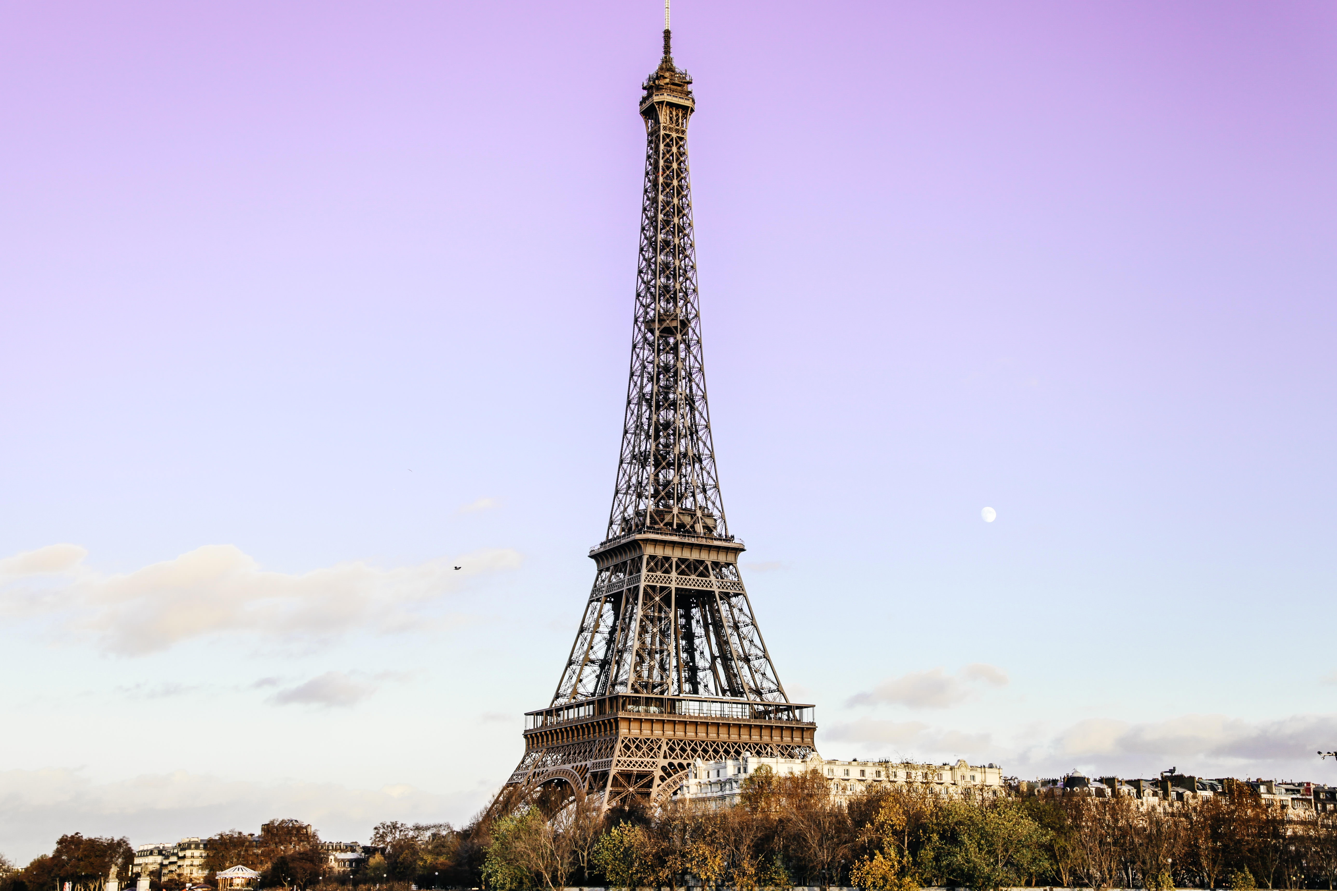 395571 Salvapantallas y fondos de pantalla Torre Eiffel en tu teléfono. Descarga imágenes de  gratis