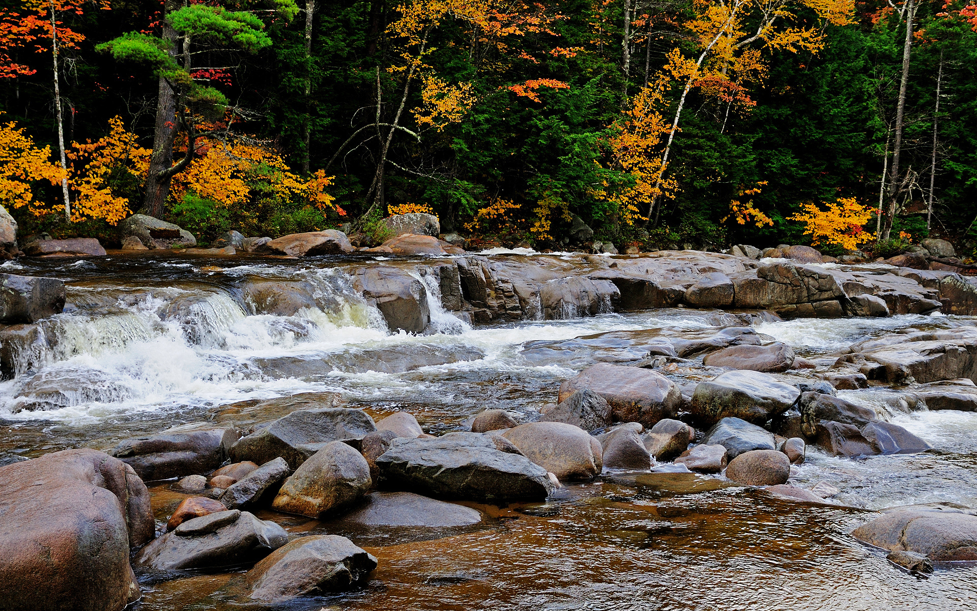 Stone river. Осень речка. Камни в реке. Берег горной реки. Красная Горная река.