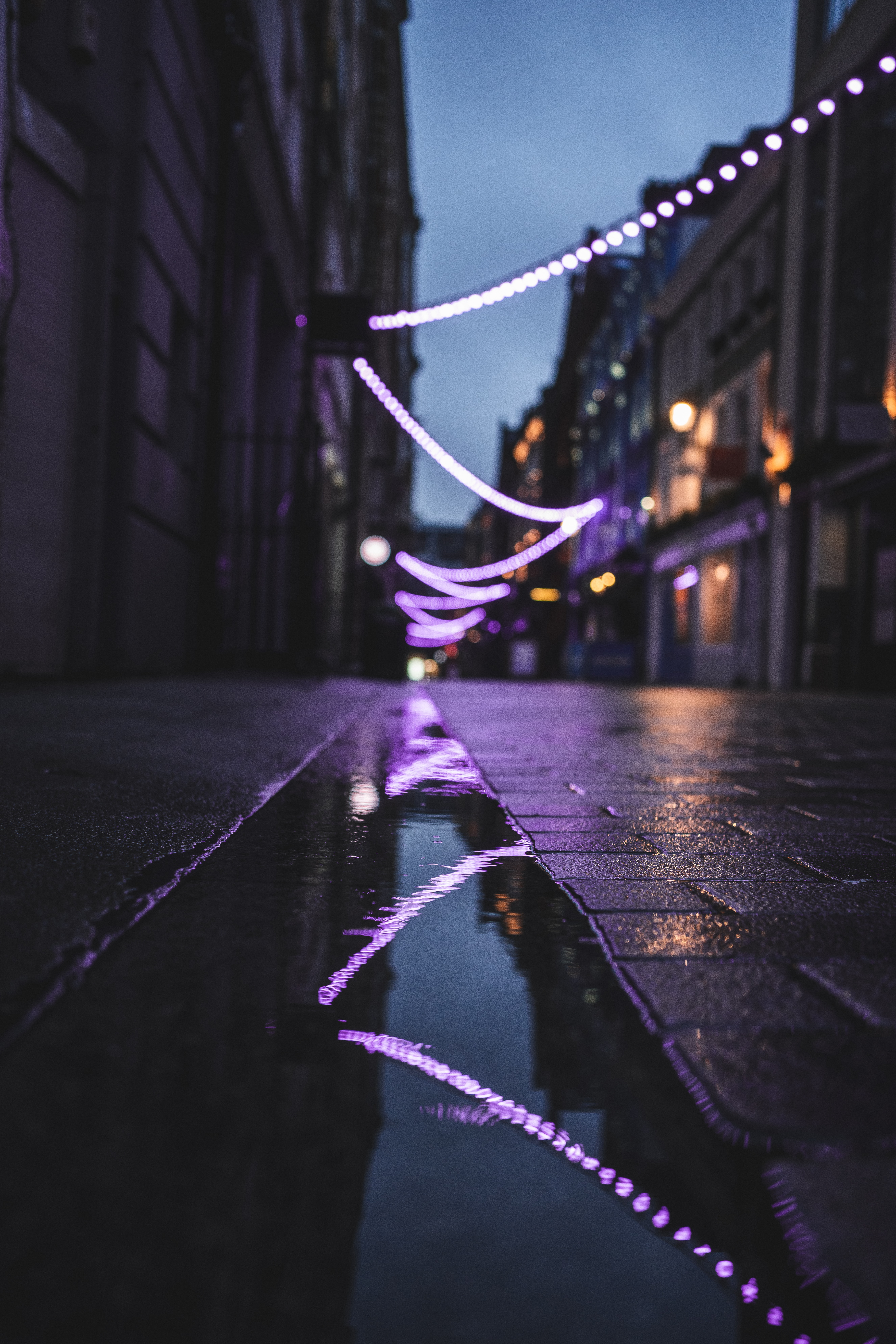 street, puddle, garlands, lights, reflection, miscellanea, miscellaneous, garland
