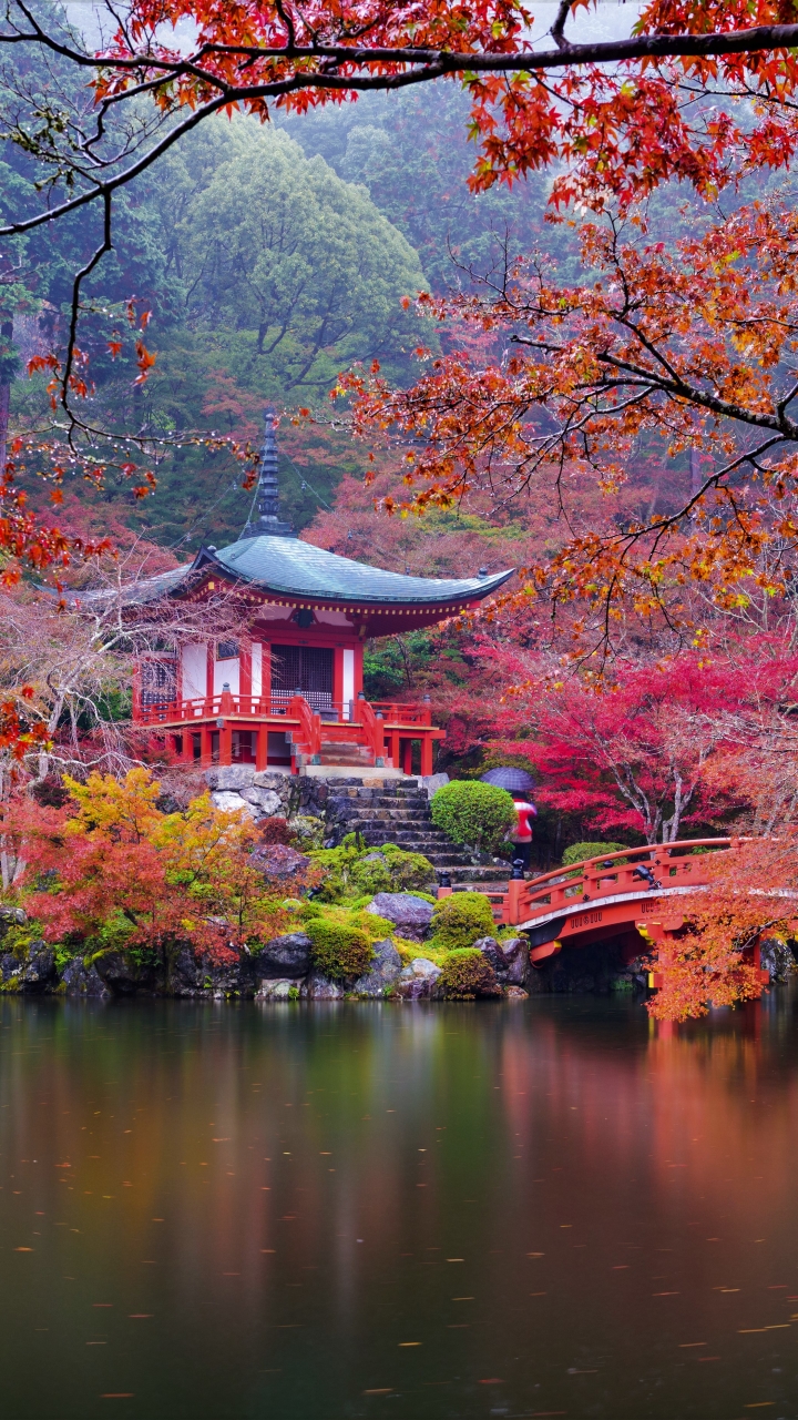 1153017 télécharger le fond d'écran jardin japonais, religieux, daigo ji, pont, pagode, automne, tomber, jardin, temples - économiseurs d'écran et images gratuitement