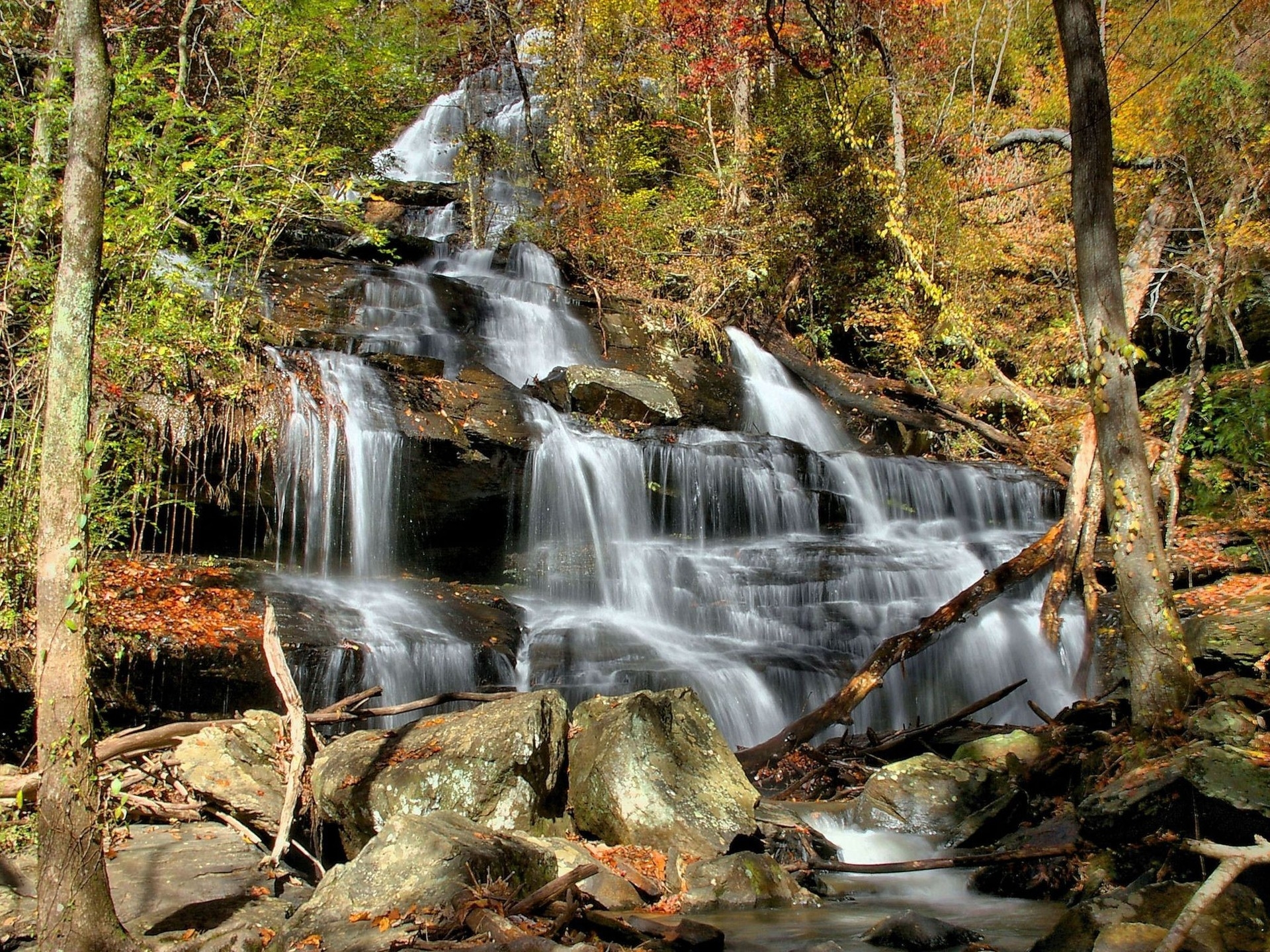 nature, trees, stones, leaves, waterfall, forest, cascades