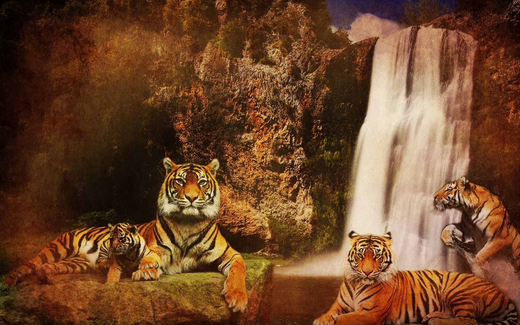 無料モバイル壁紙阪神タイガース, 動物, 水, 山脈, 滝, 岩, 捕食者, 捕食 者, 背景, 猫をダウンロードします。