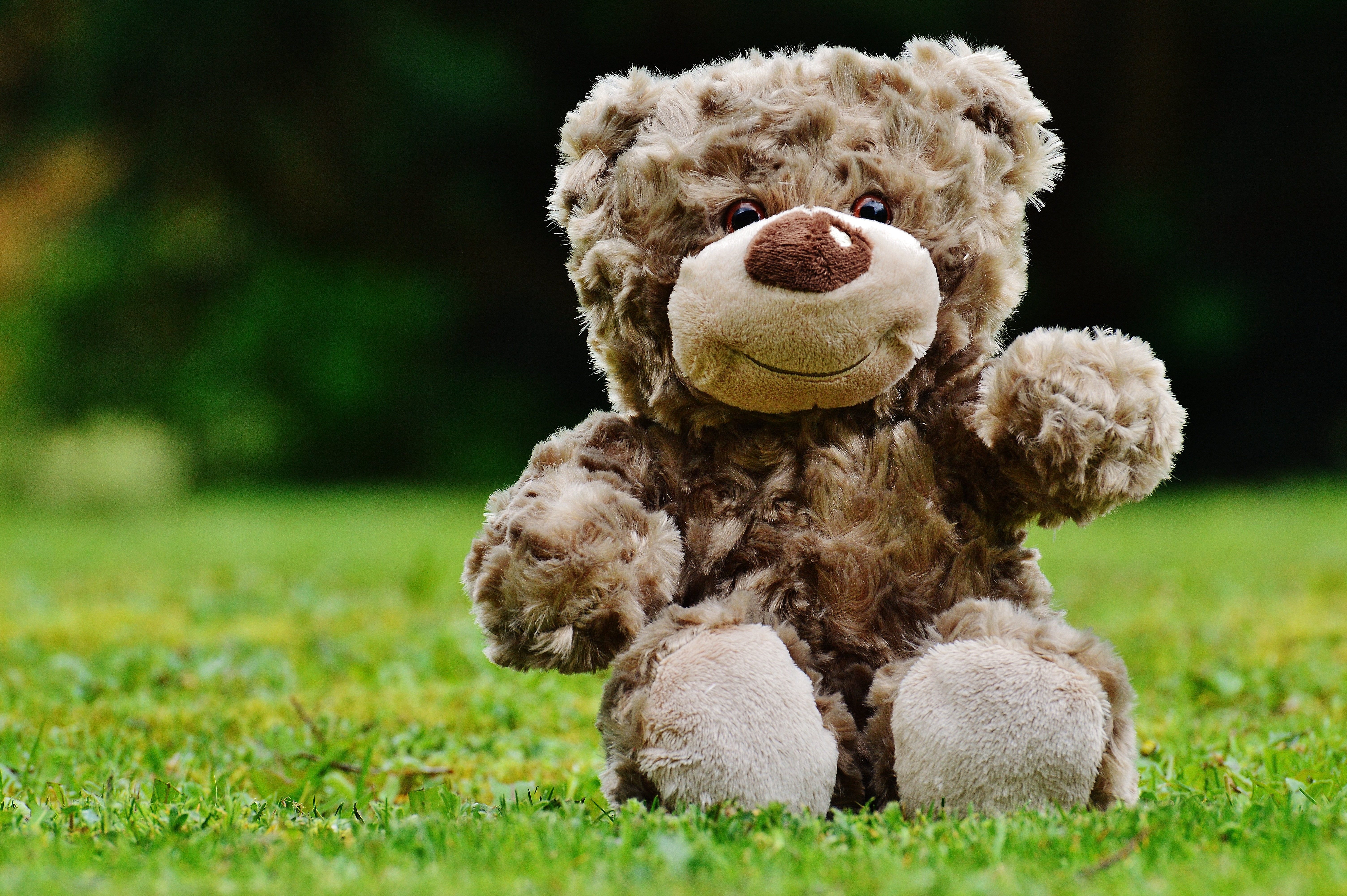 Download mobile wallpaper Animals, Grass, Toy, Bear for free.