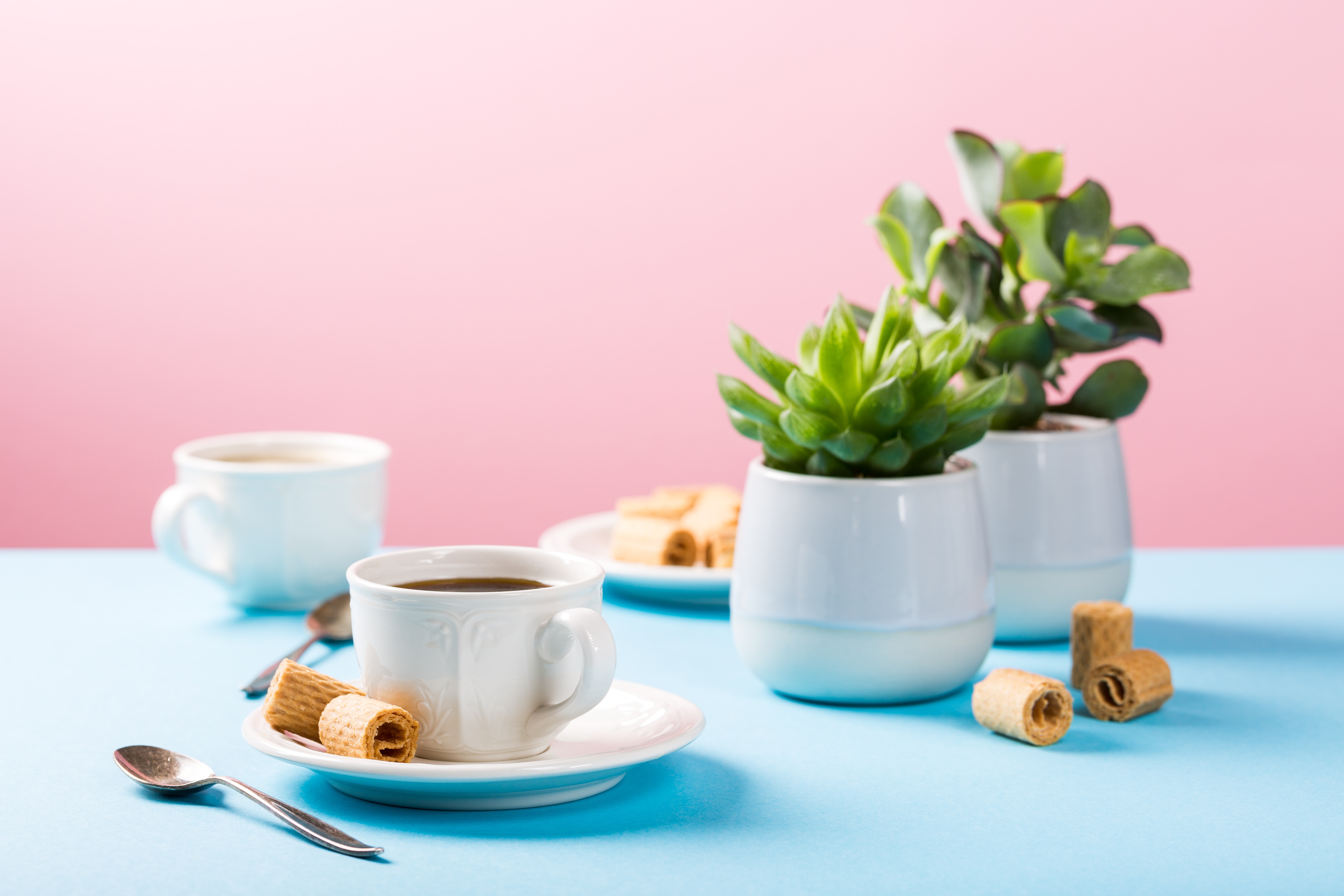 Cups flowers. Чашка кофе. Чай на столе. Стол с чаем. Чашка чая на столе.
