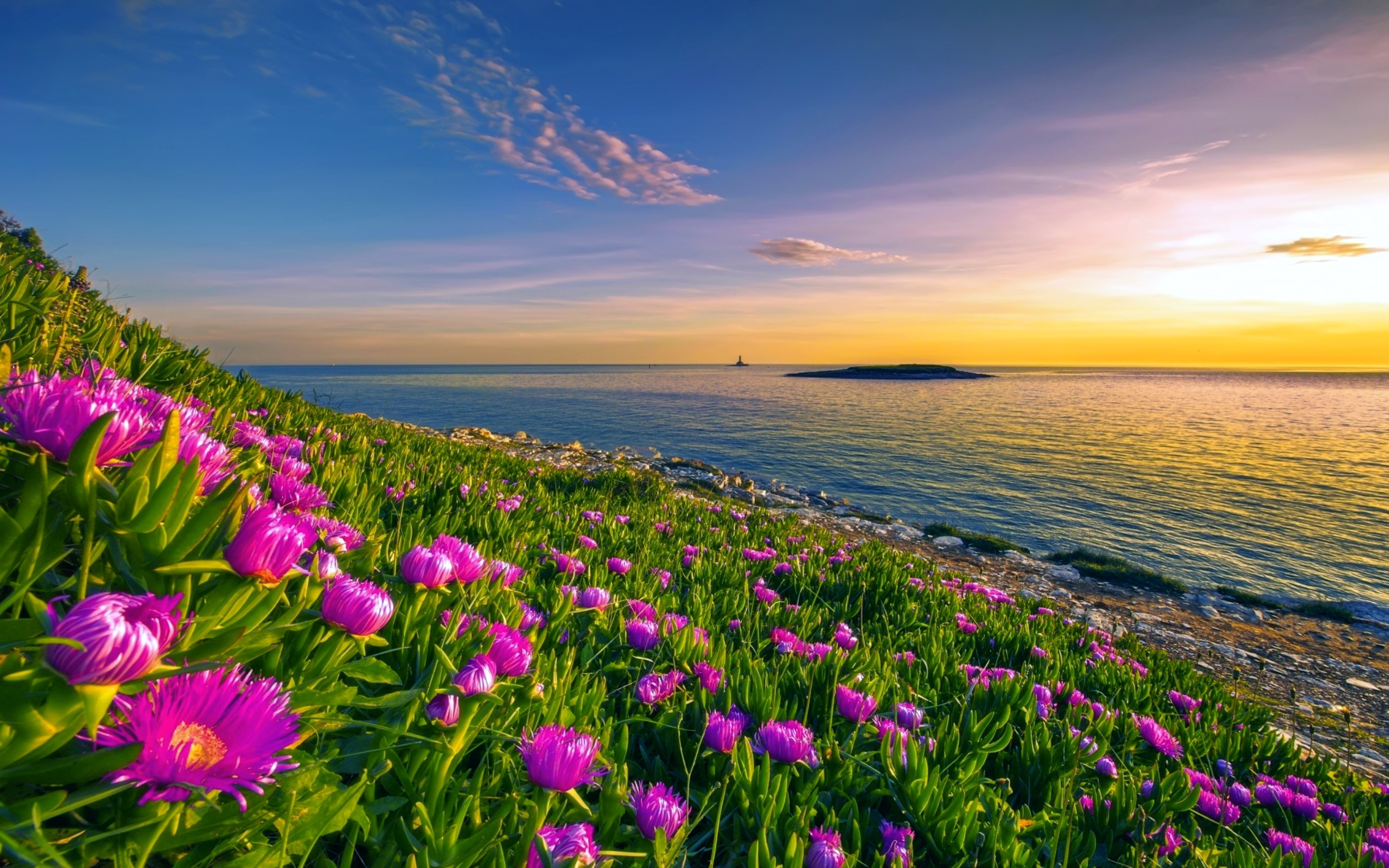 Море солнце и цветы фото
