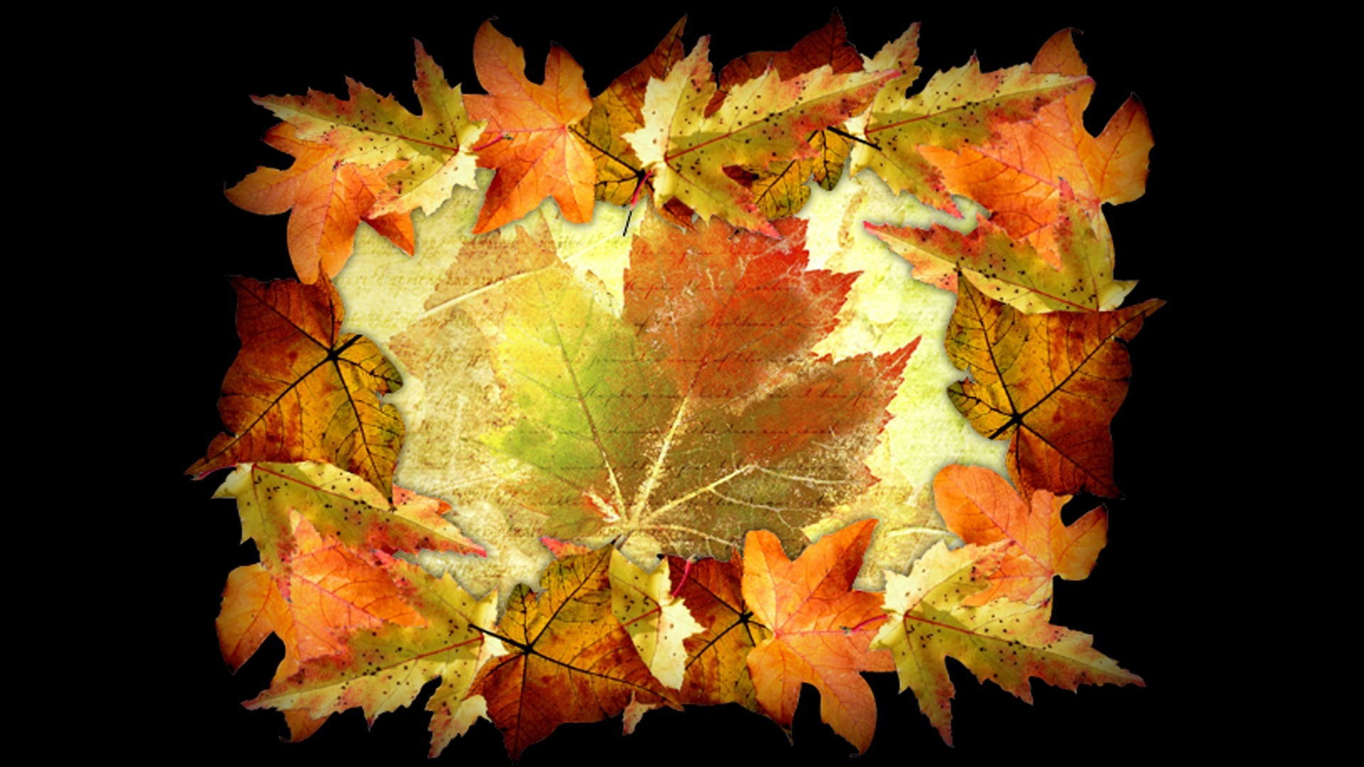 artistic, leaf, fall, maple leaf, nature, paper Aesthetic wallpaper