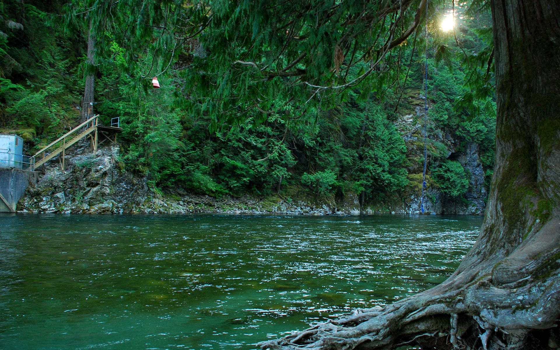 Скачать обои бесплатно Природа, Лес, Река, Канада картинка на рабочий стол ПК