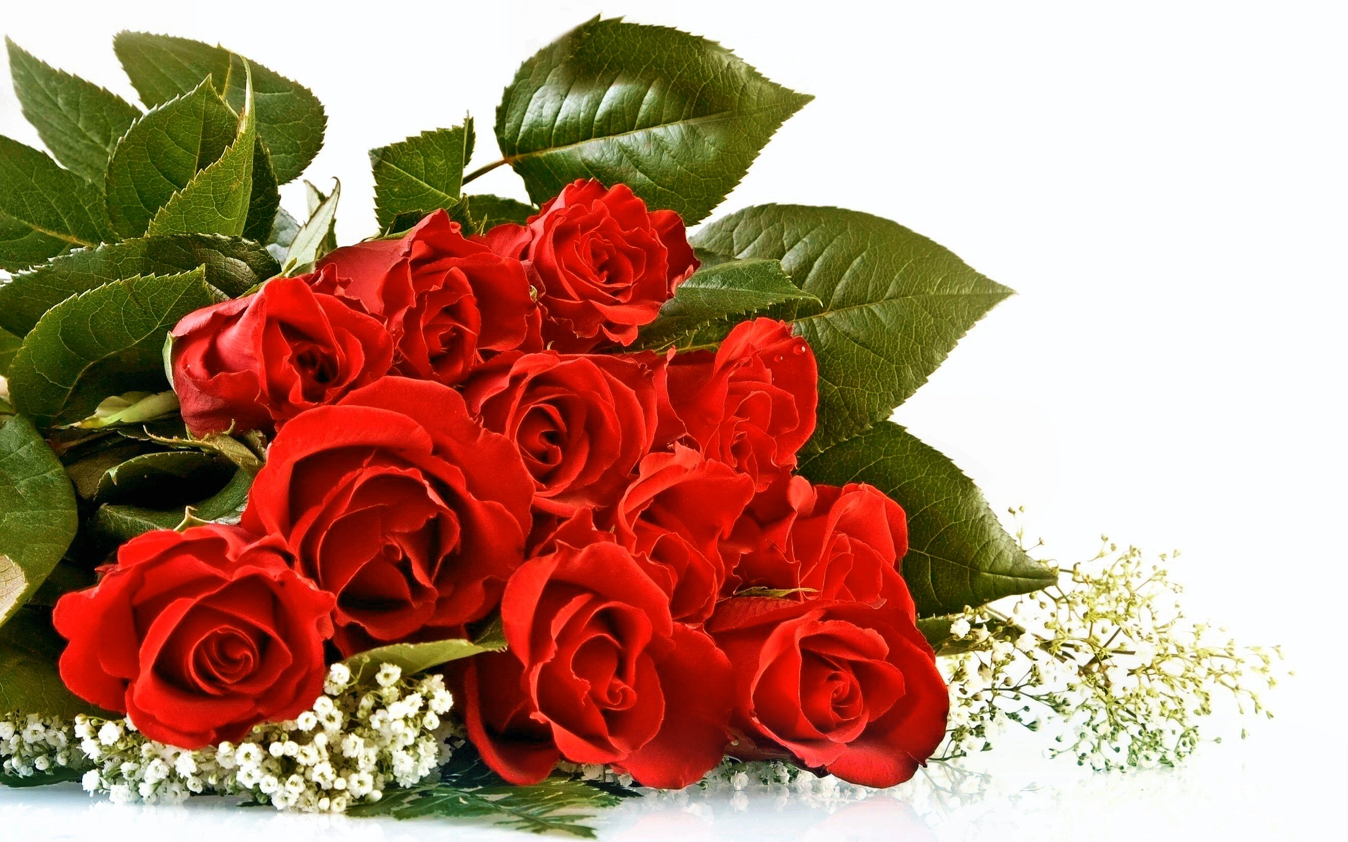 red flower, leaf, flowers, flower, rose, valentine's day, red rose, bouquet, earth