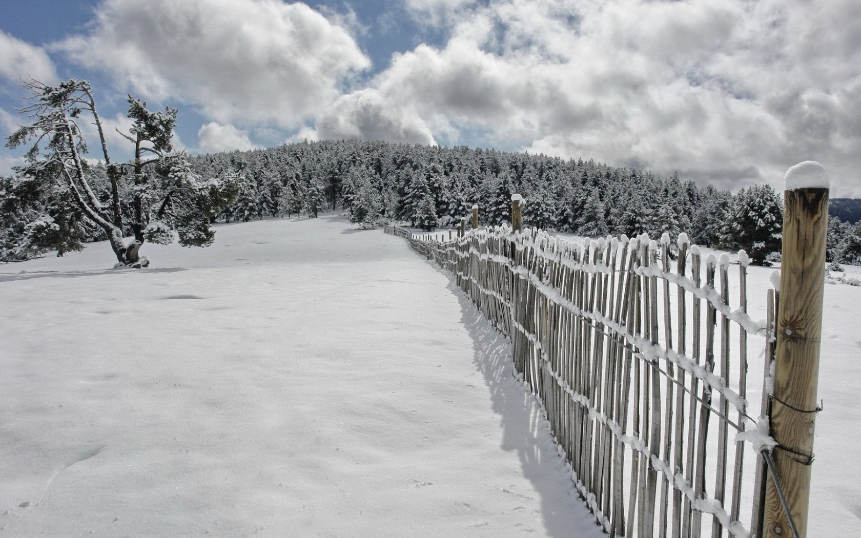 無料モバイル壁紙雪, 冬, 自然, 風景をダウンロードします。