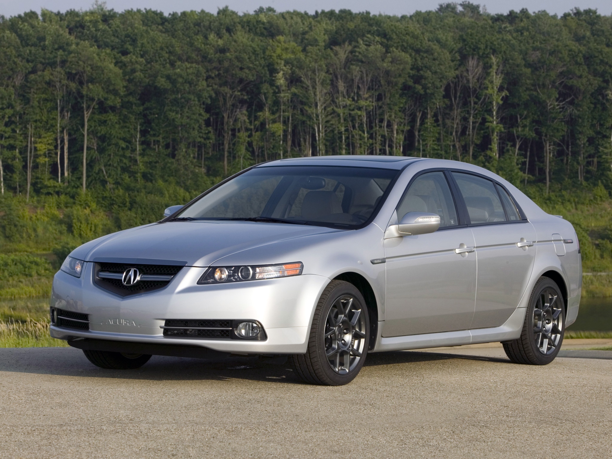 auto, grass, acura, cars, forest, front view, style, akura, shrubs, tl, 2007, silver metallic