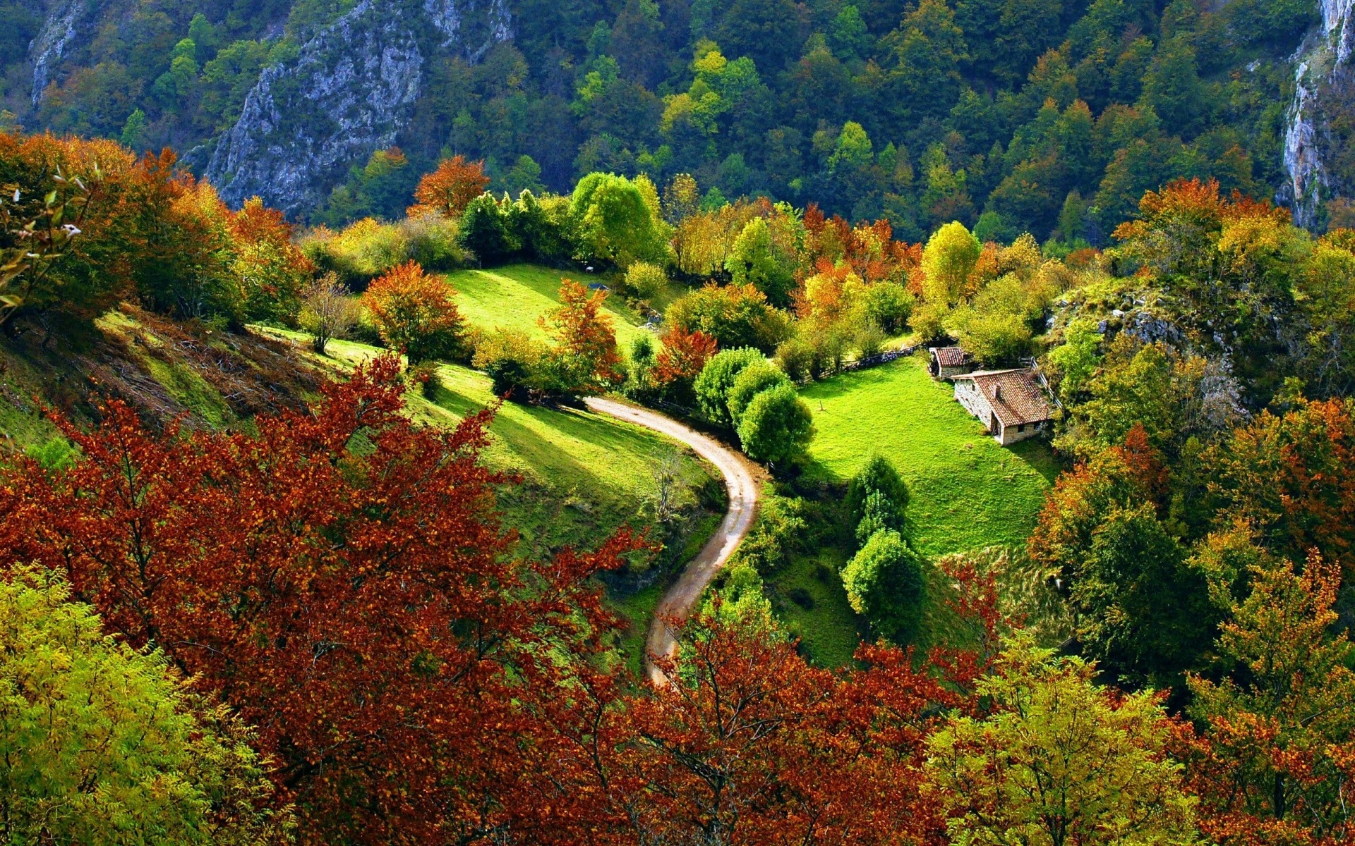 Осень лес деревня Швейцария