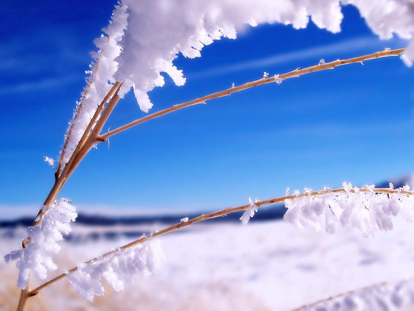 grass, sky, snow, blue, macro, branches, sticks, stick mobile wallpaper