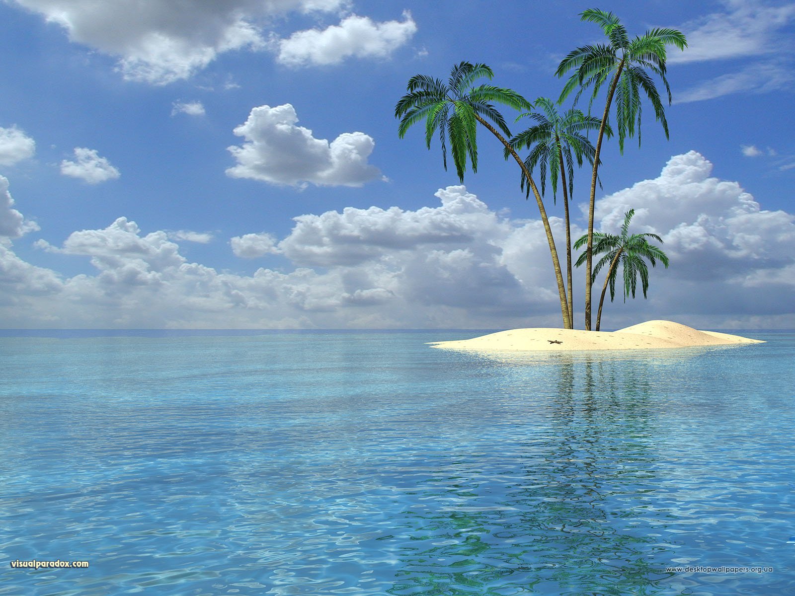 12031 Hintergrundbild herunterladen bäume, landschaft, wasser, sea, palms, sommer, blau - Bildschirmschoner und Bilder kostenlos