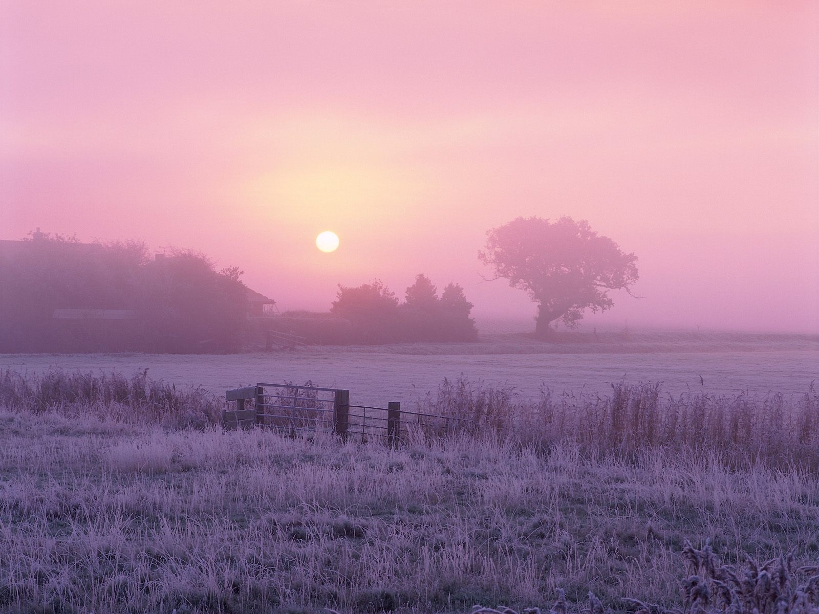 Laden Sie das Landschaft, Grass, Sky, Morgendämmerung-Bild kostenlos auf Ihren PC-Desktop herunter