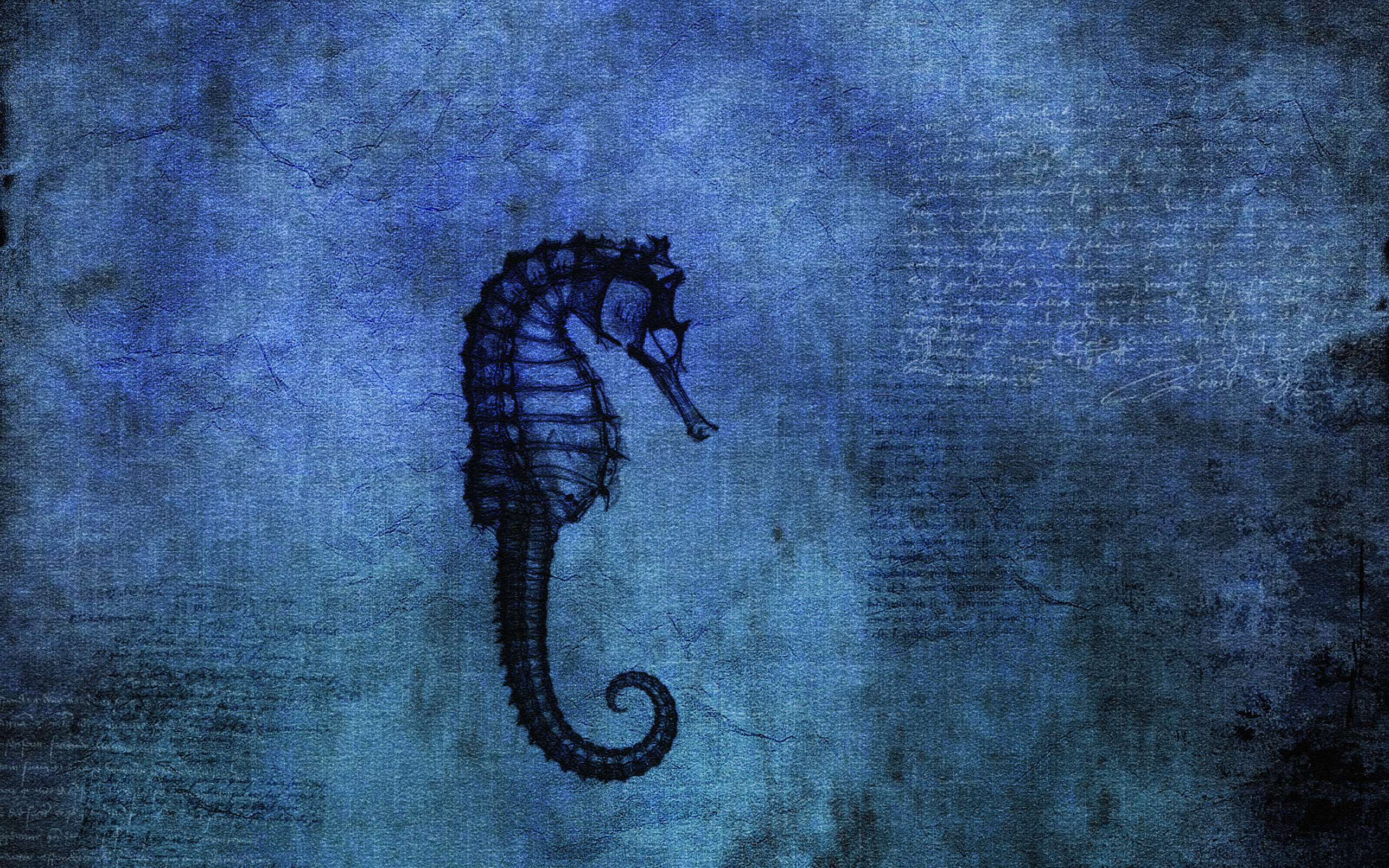 Download Seahorse wallpapers for mobile phone free Seahorse HD pictures