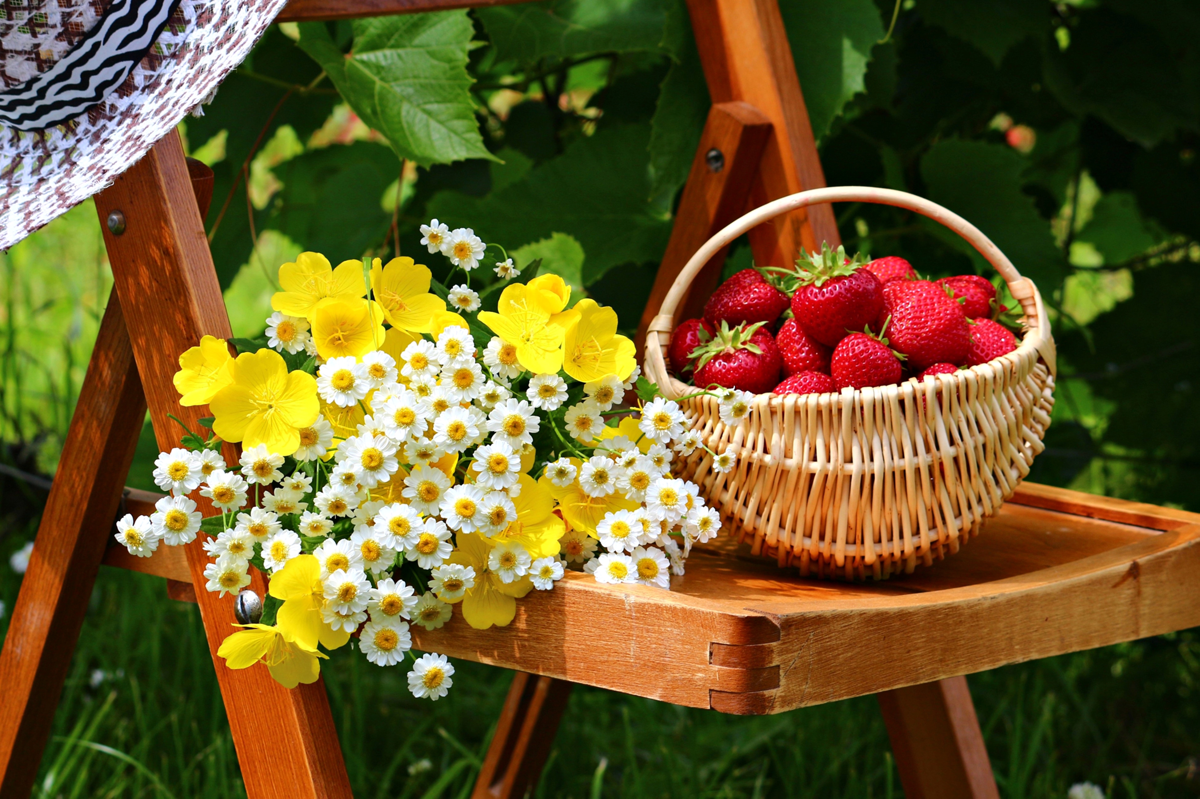 photography, still life, basket, flower, strawberry lock screen backgrounds