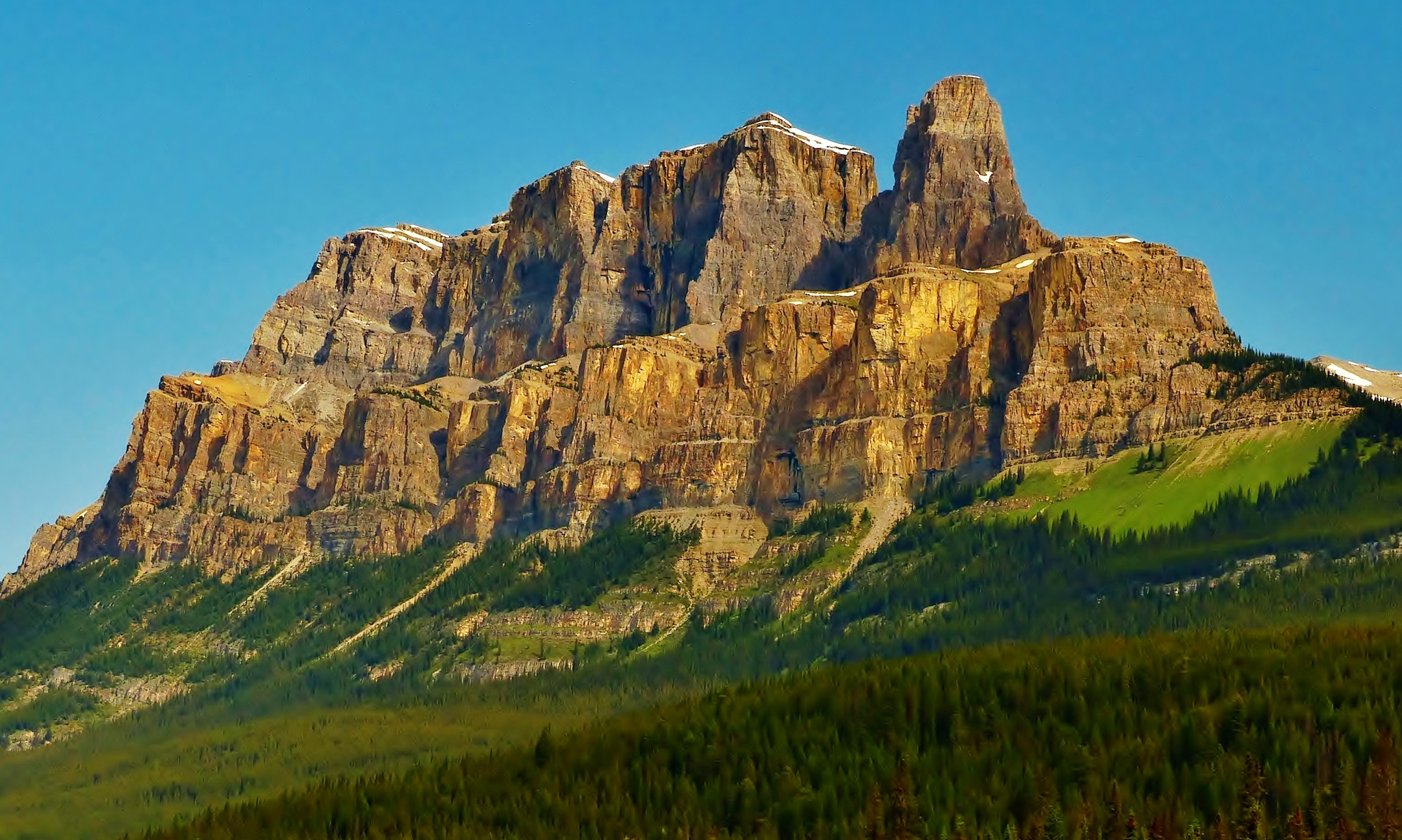 earth, mountain, alberta, canada, cliff, forest, nature, mountains High Definition image
