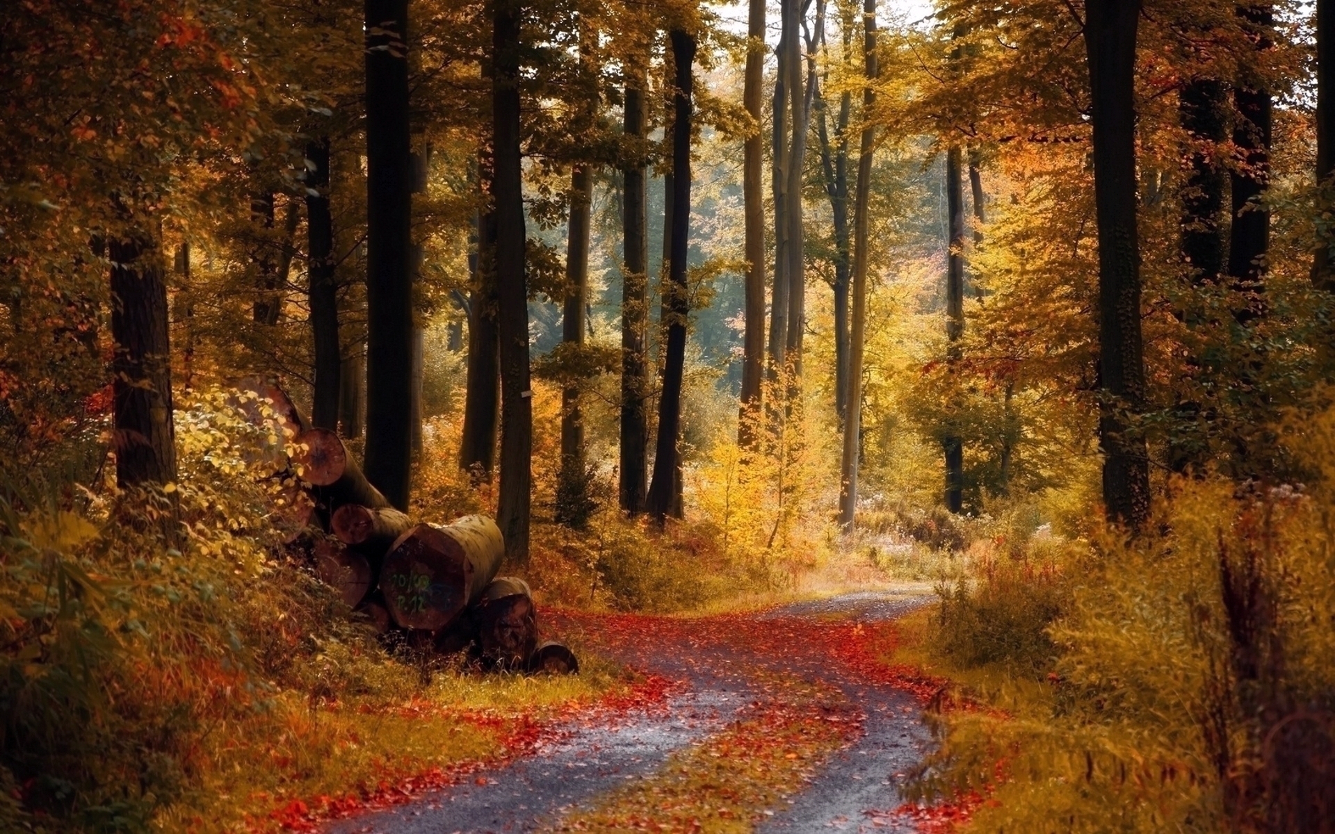 Download mobile wallpaper Roads, Leaves, Landscape, Trees, Autumn for free.