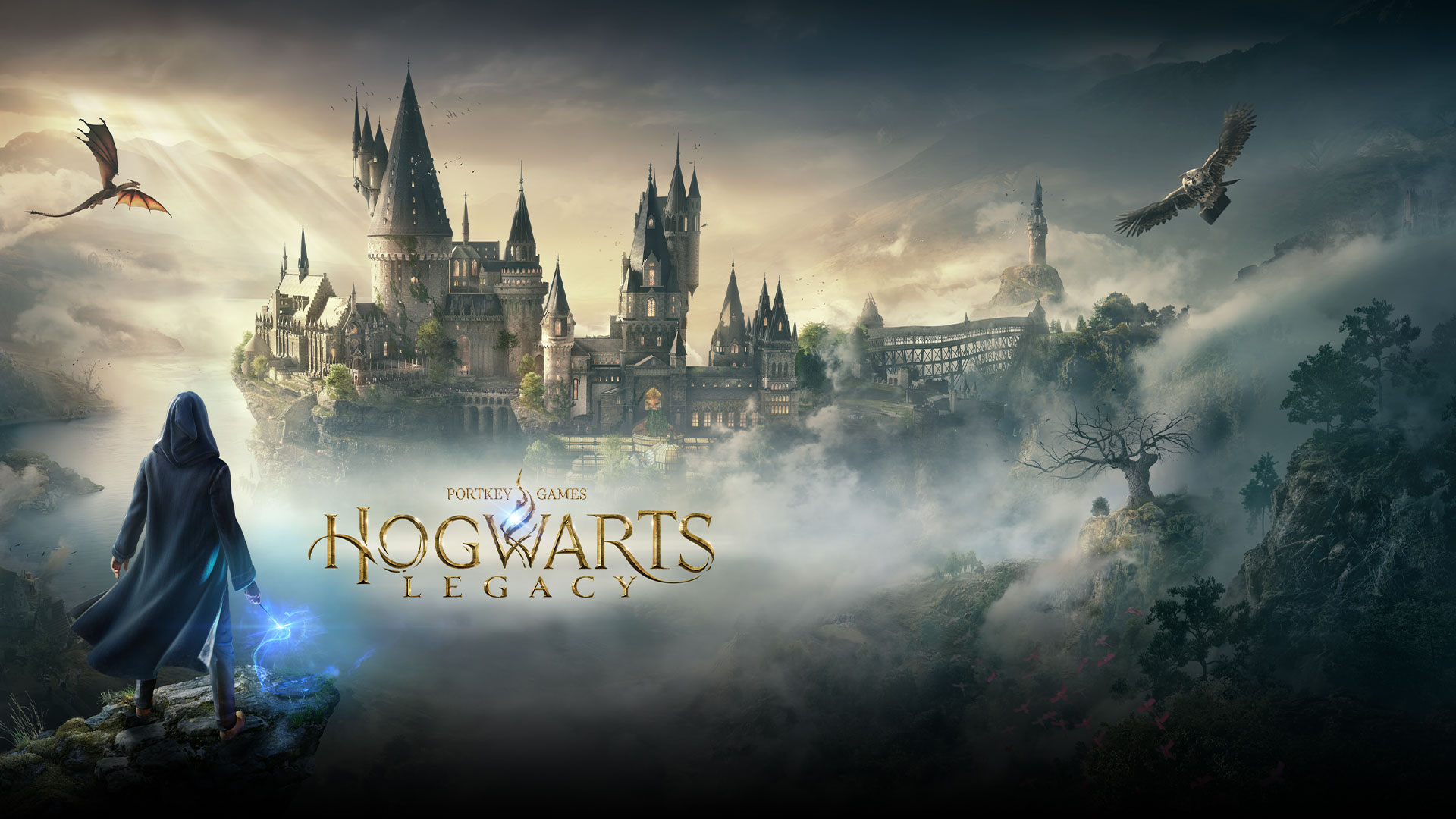 I upscaled to almost 8k official PC wallpaper and I added some color  corrections so we can see more details. Link to download full size wallpaper  (over 30mb) in comment. : r/HarryPotterGame