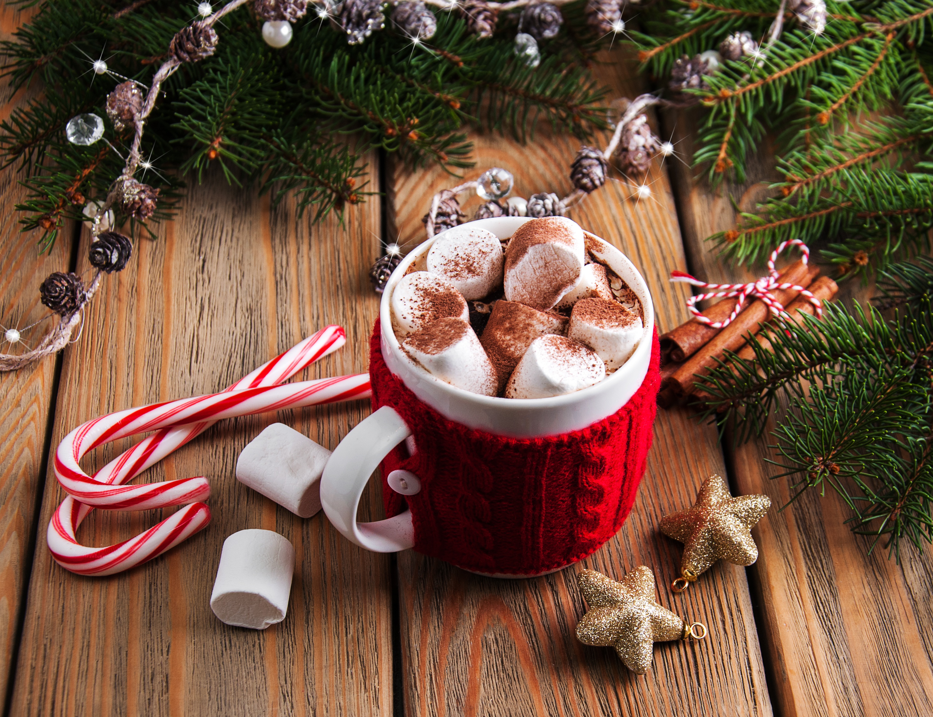 hot chocolate, marshmallow, food, candy cane, christmas, cinnamon, cup