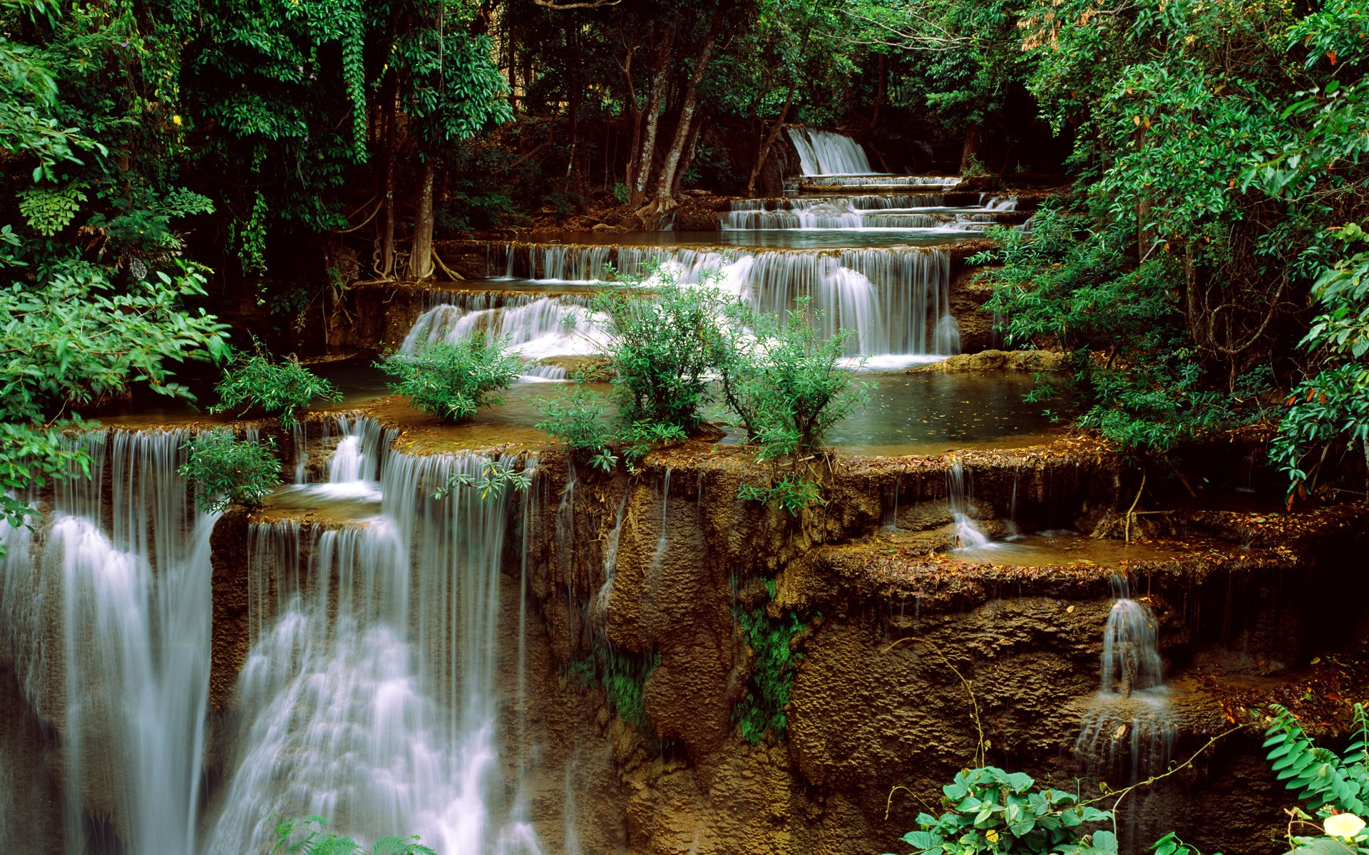 vegetation, earth, waterfall, nature, water, waterfalls