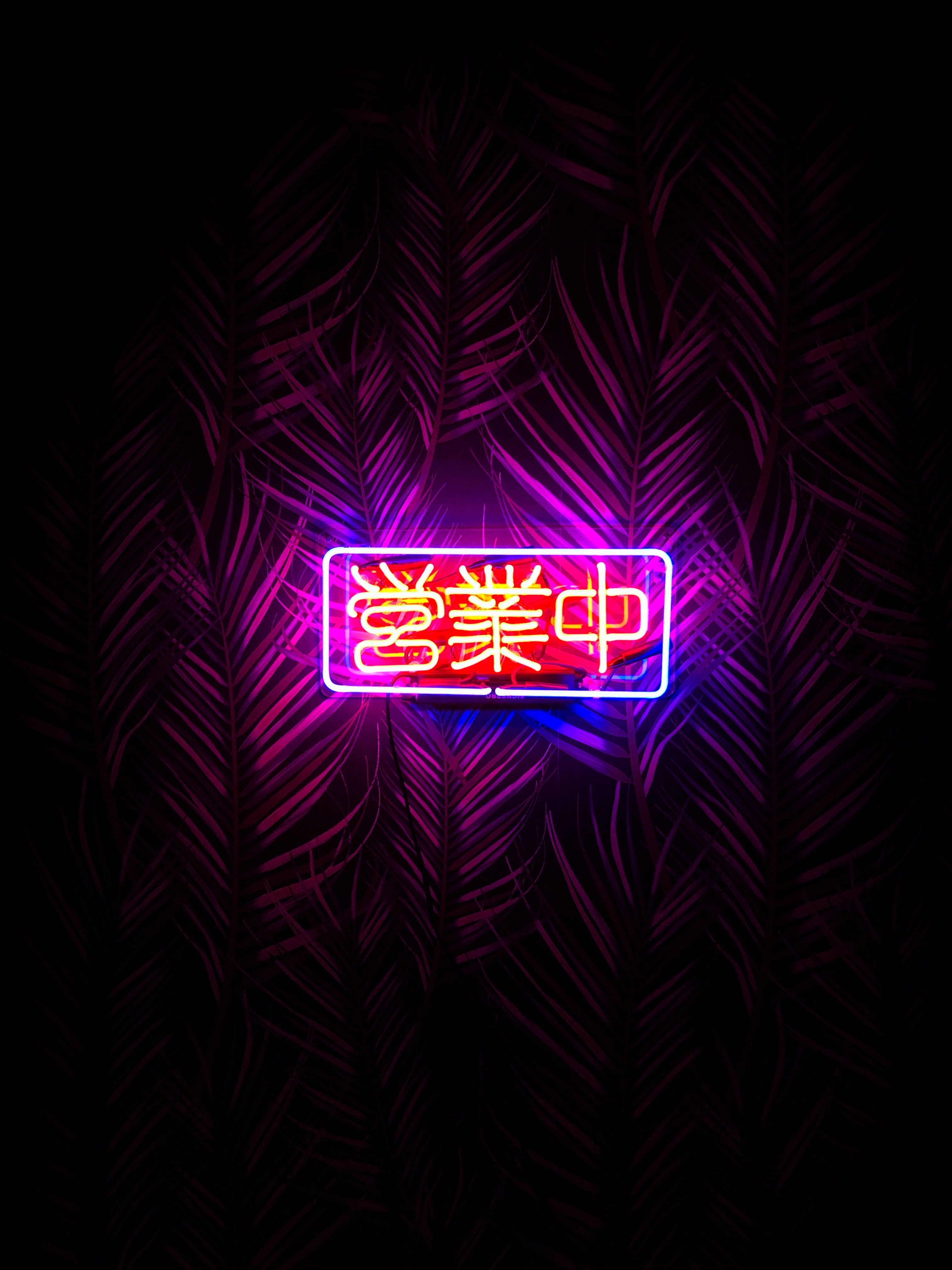 Download mobile wallpaper Hieroglyph, Leaves, Inscription, Words, Neon for free.