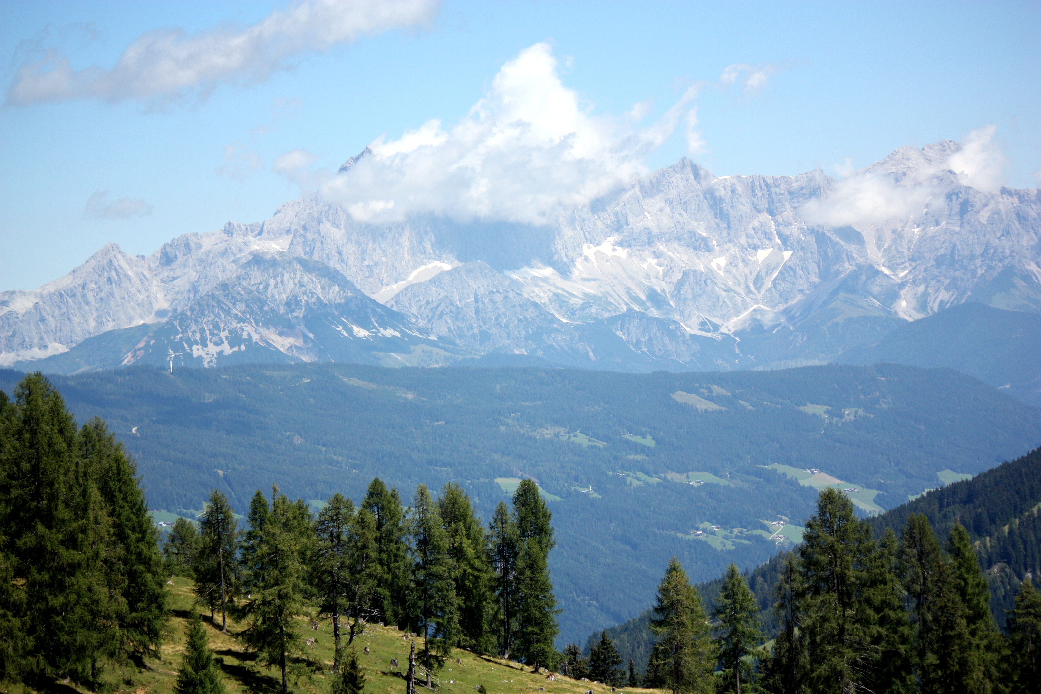 Download mobile wallpaper Trees, Nature, Alps, Austria, Mountains for free.