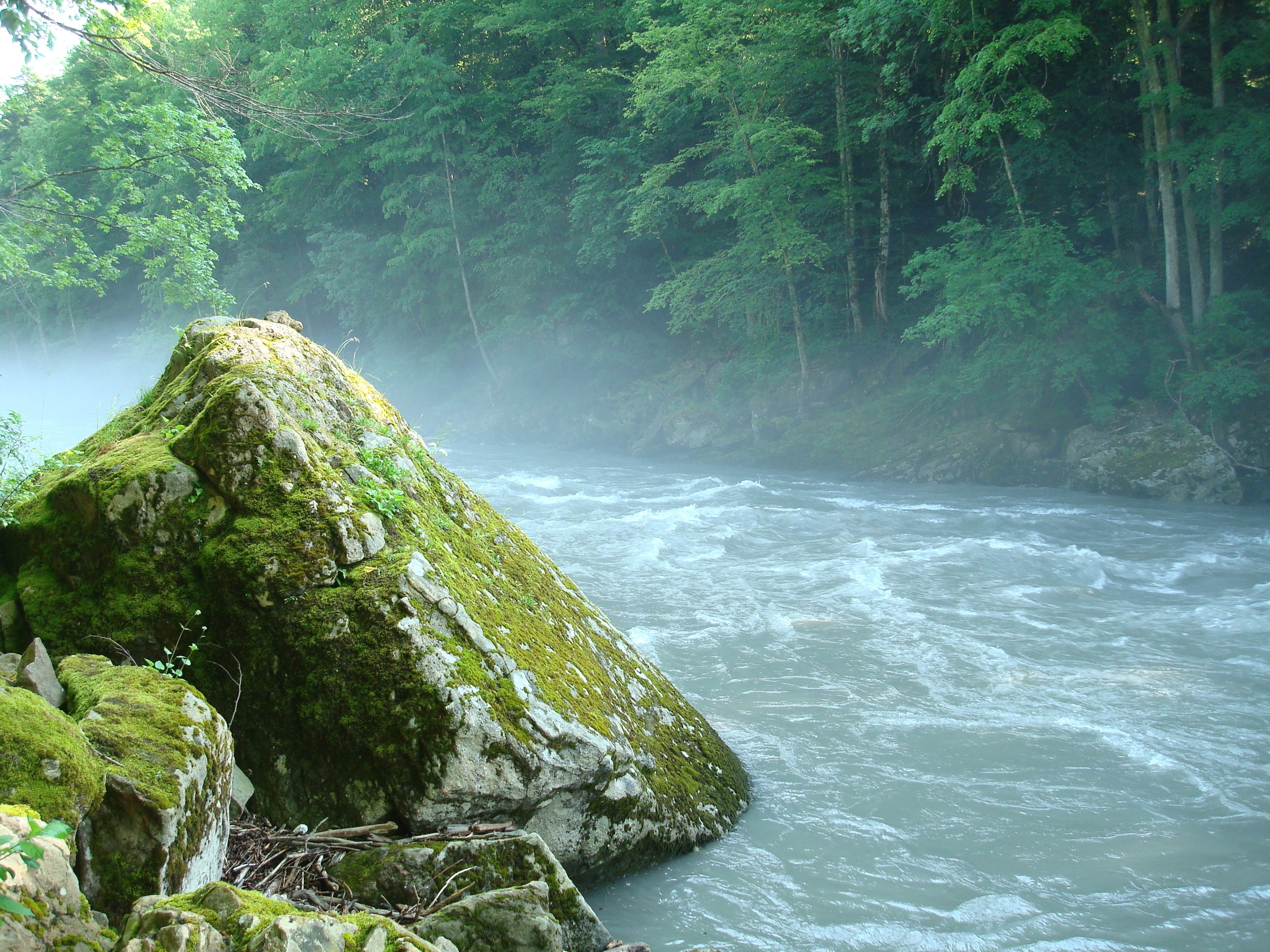 adygea, mountain river, nature, rock, stone, moss download HD wallpaper