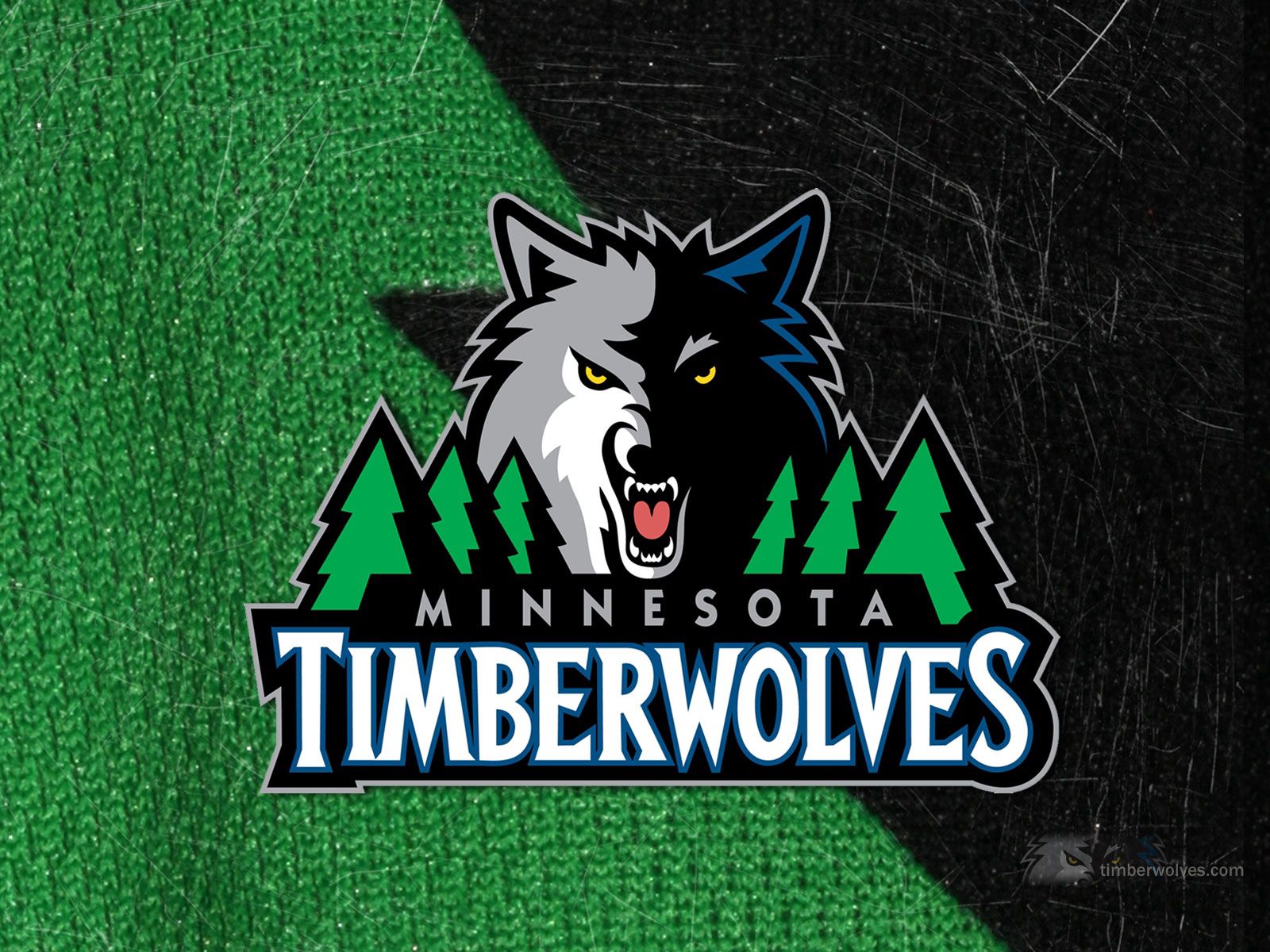 team, sports, wolf, to fall, mouth, symbol, minnesota timberwolves