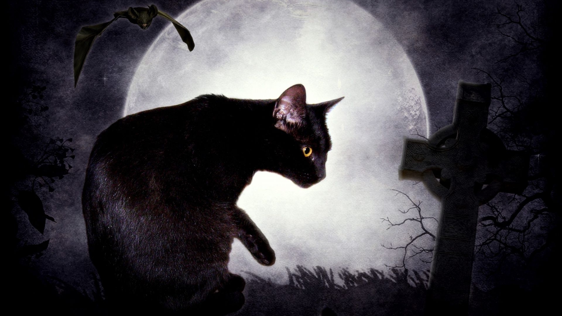 Мрачный кот