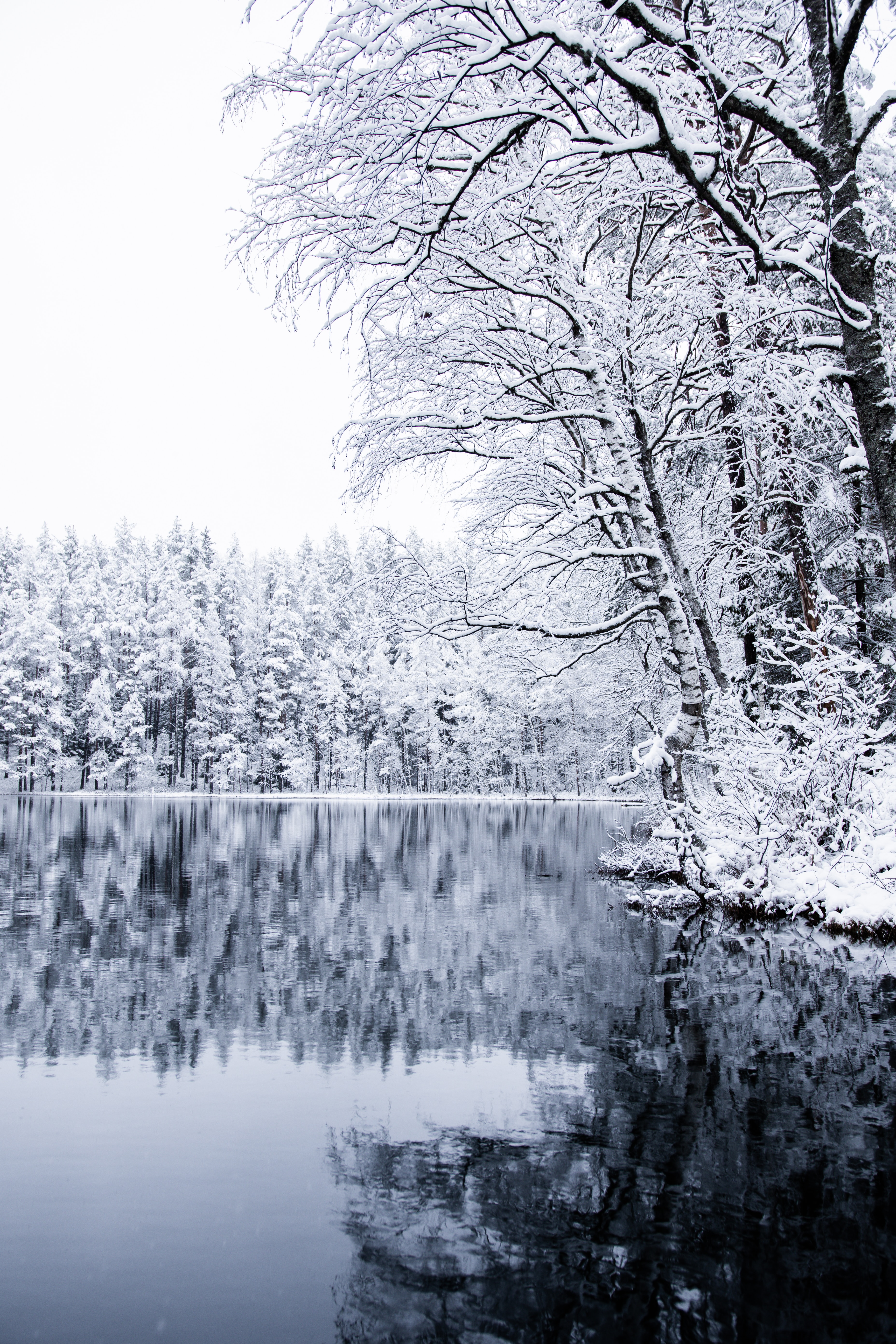Скачати мобільні шпалери Дерева, Природа, Сніг, Озеро, Зима, Пейзаж безкоштовно.