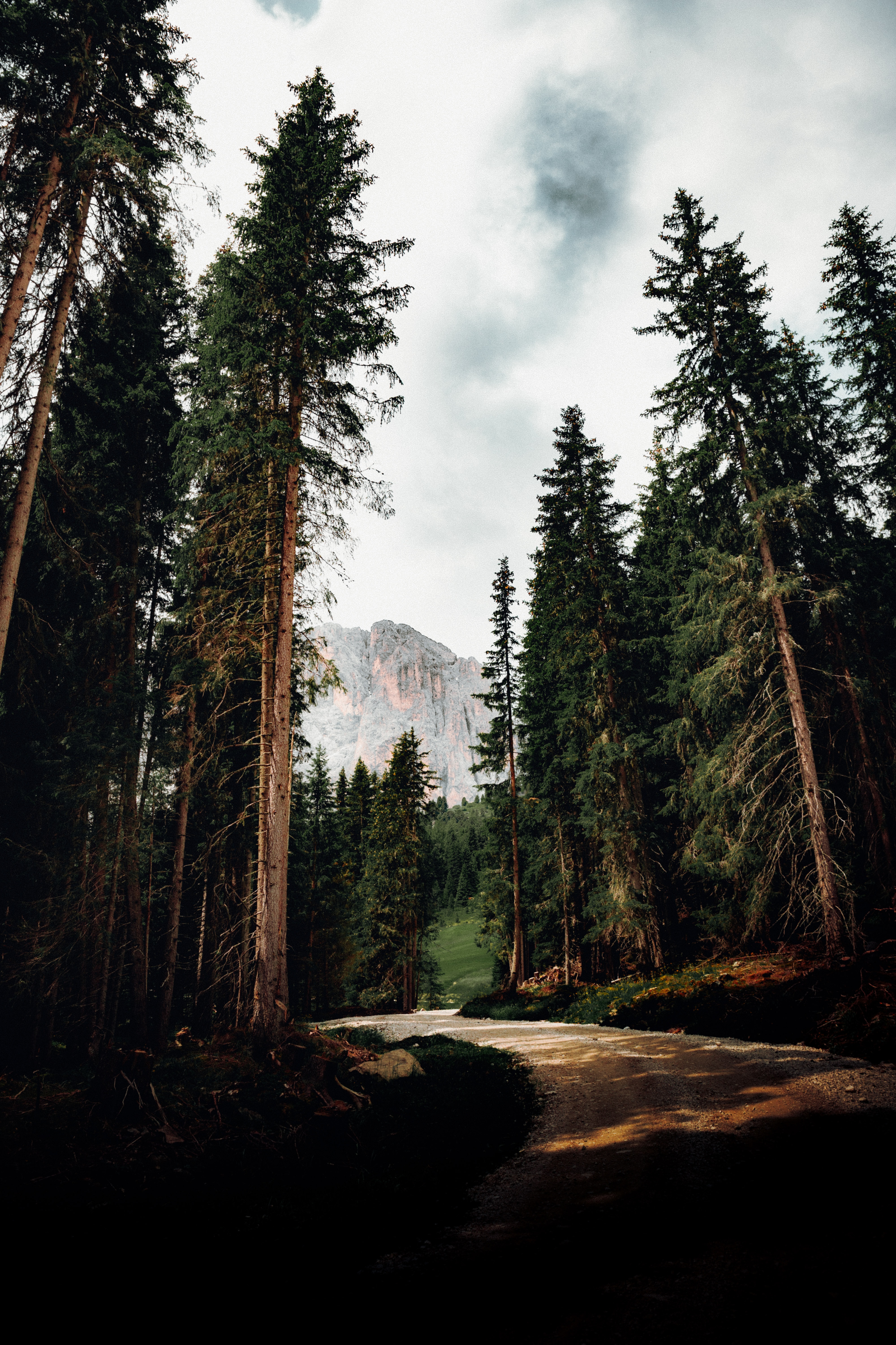 top, nature, trees, mountain, vertex, road cellphone
