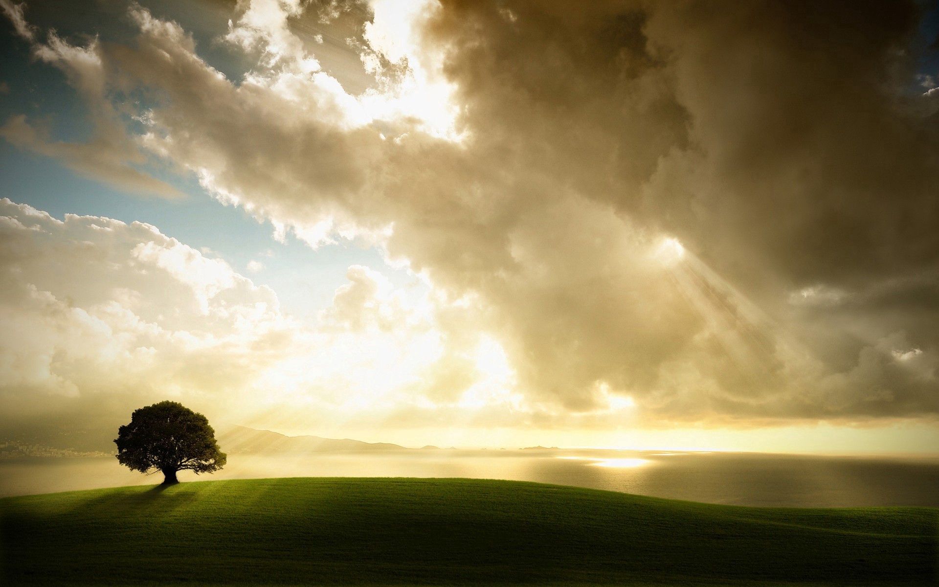 Laden Sie das Clouds, Scheinen, Holz, Einsam, Natur, Grass, Sky, Licht, Baum, Wiese-Bild kostenlos auf Ihren PC-Desktop herunter