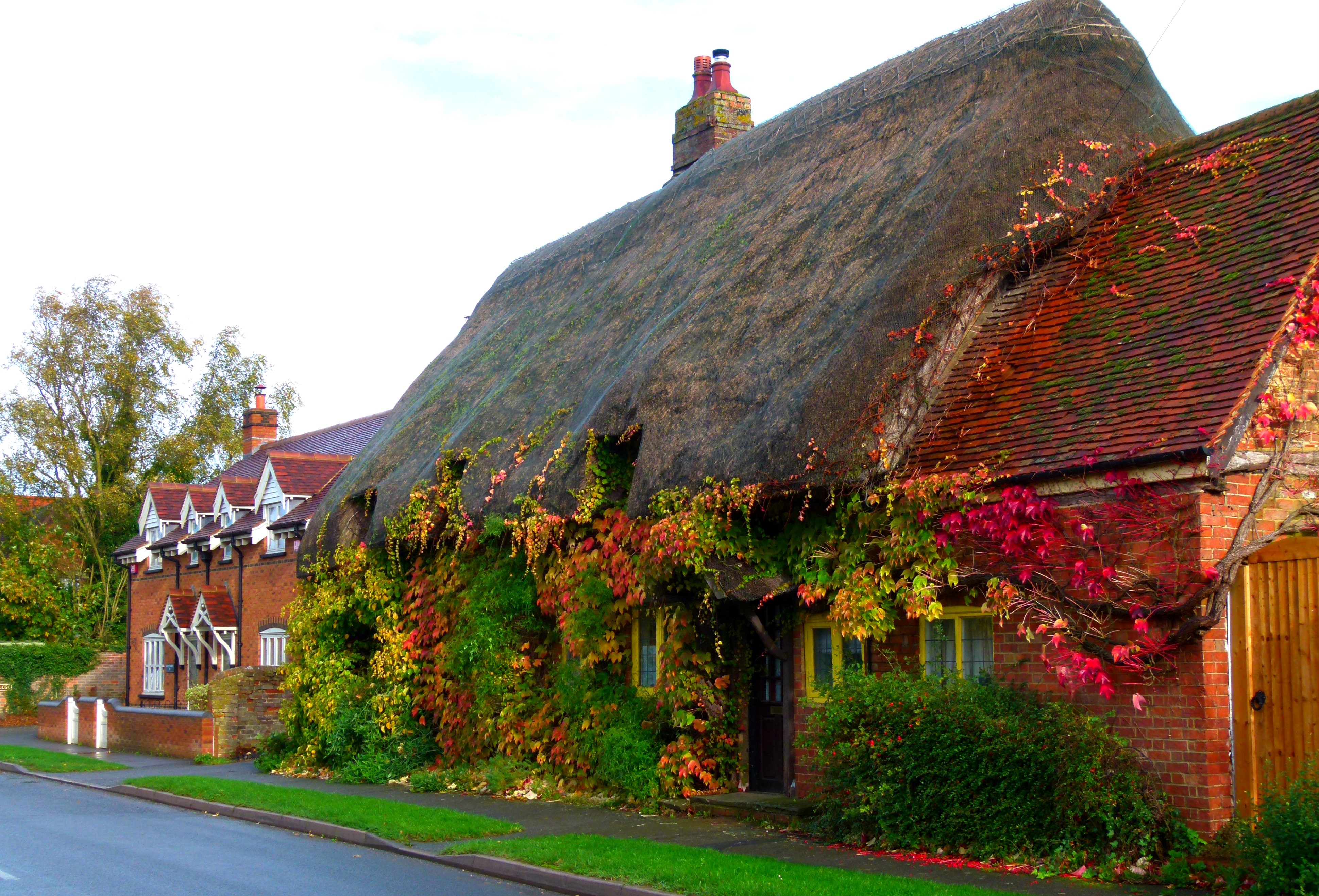 man made, house, cottage, england, fall, thatched roof, vine Full HD
