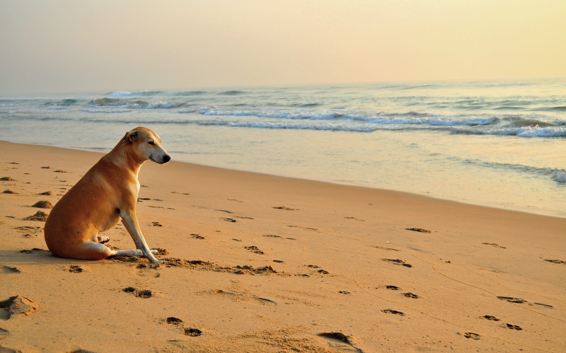 Como ponerse un pareo de playa