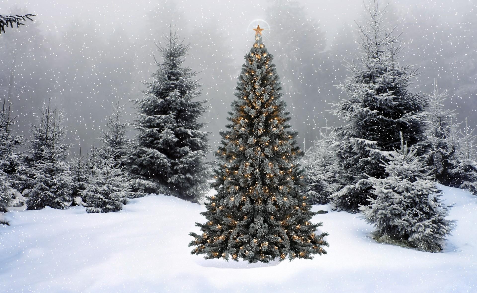 129884 Hintergrundbild herunterladen weihnachten, tannenbaum, feiertage, neujahr, winter, sterne, schnee, wald, neues jahr, garland, girlanden, star - Bildschirmschoner und Bilder kostenlos