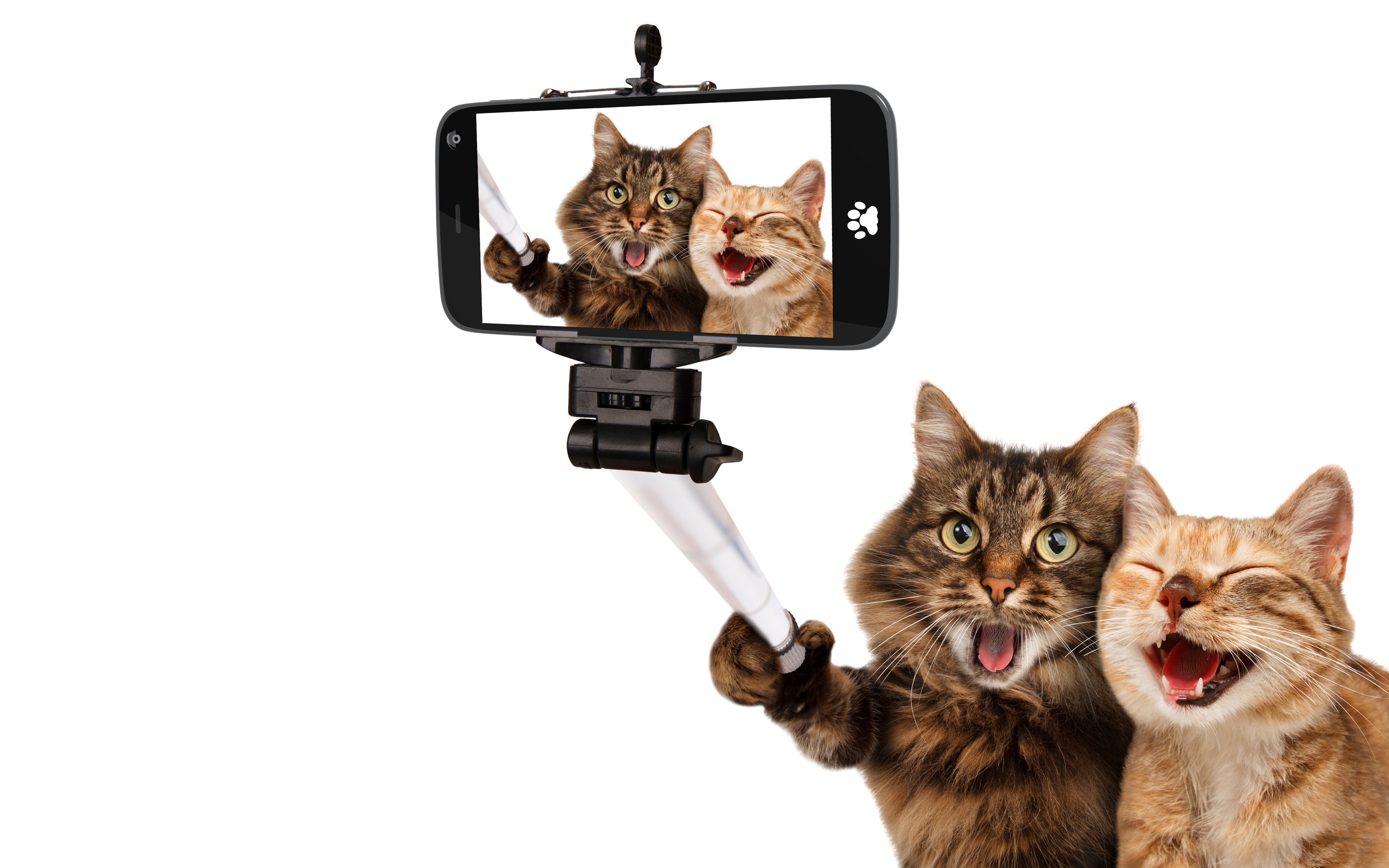 Melhores papéis de parede de Selfie para tela do telefone