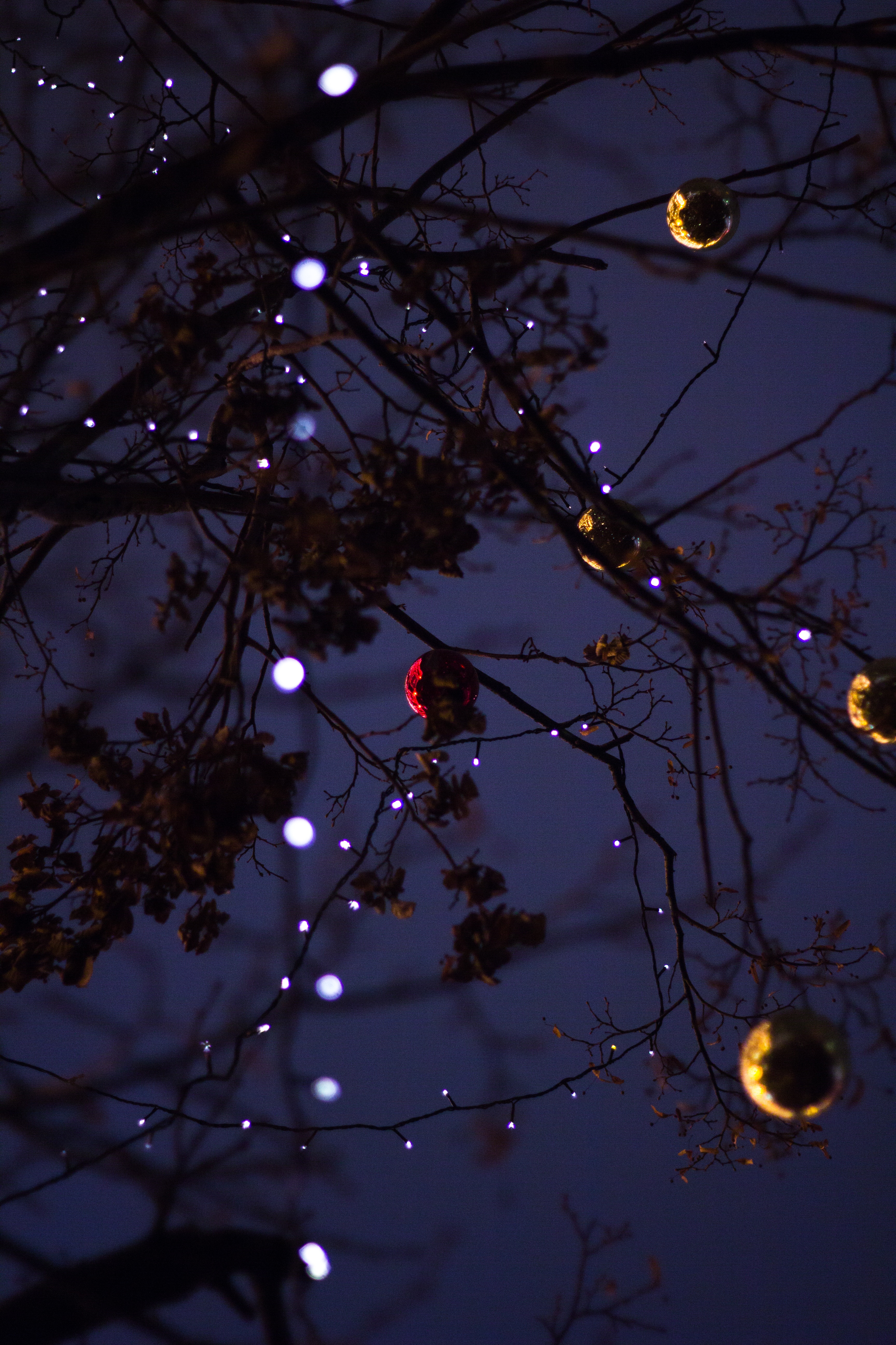 141310 descargar fondo de pantalla ramas, navidad, año nuevo, vacaciones, brillar, luz, madera, árbol, sucursales, decoraciones de navidad, juguetes de árbol de navidad, guirnalda: protectores de pantalla e imágenes gratis