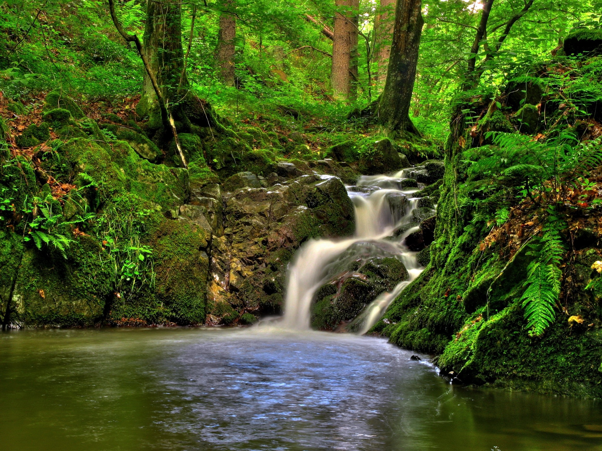 Laden Sie das Wasserfall, Natur, Vegetation, Kleinpöchlarn, Klein Pehlarn, Österreich-Bild kostenlos auf Ihren PC-Desktop herunter