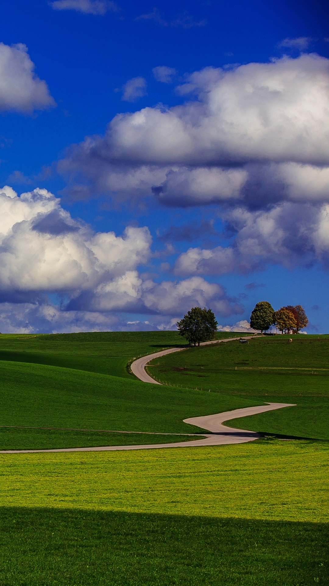 photography, landscape, road, nature, way, earth, countryside, grass, cloud HD wallpaper