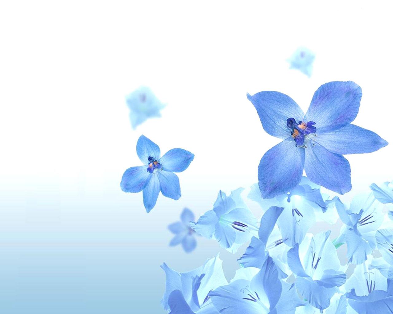 1514980 télécharger le fond d'écran fleur bleue, terre/nature, fleur - économiseurs d'écran et images gratuitement