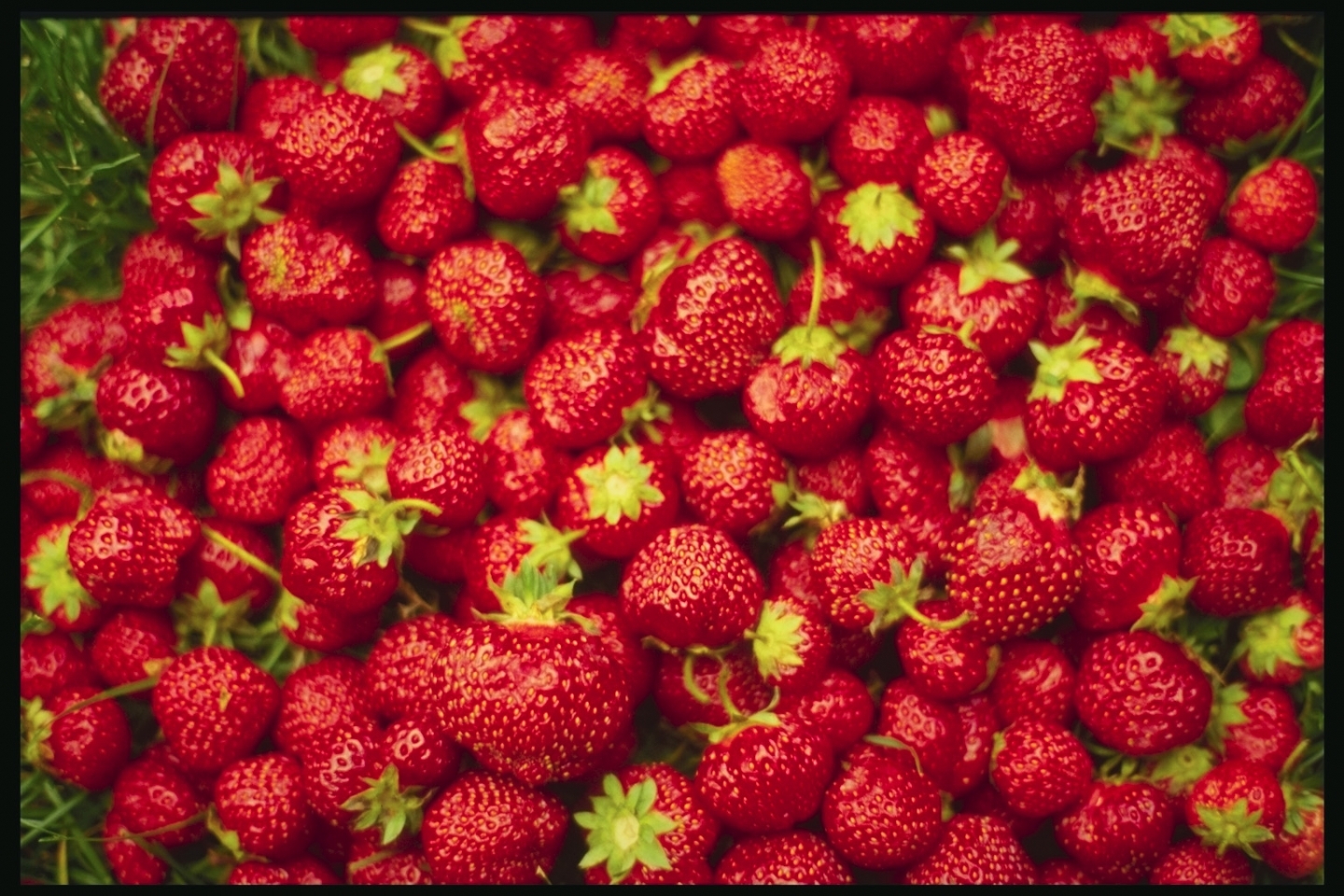 Download mobile wallpaper Food, Berries, Strawberry for free.