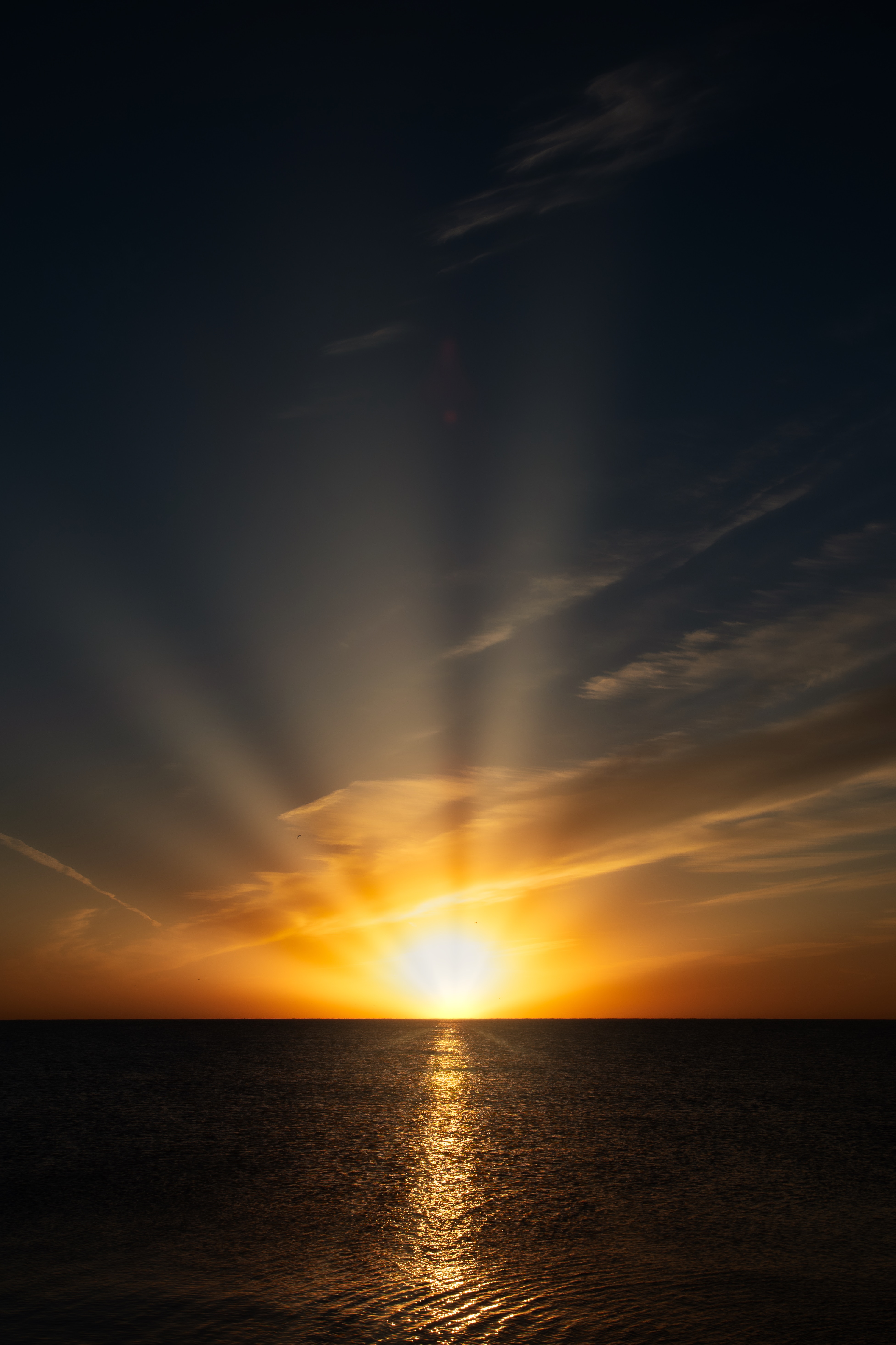Sunrise HD download for free